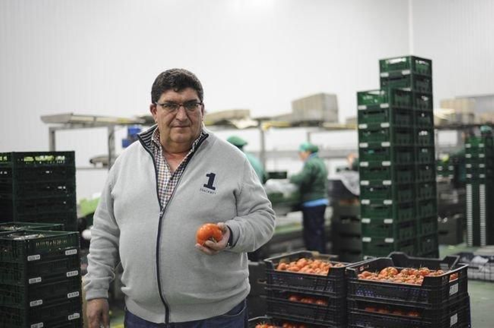 José Rivero, responsable de Hortícolas galegas, en las instalaciones de la empresa en Campo do Couso (Xinzo de Limia).