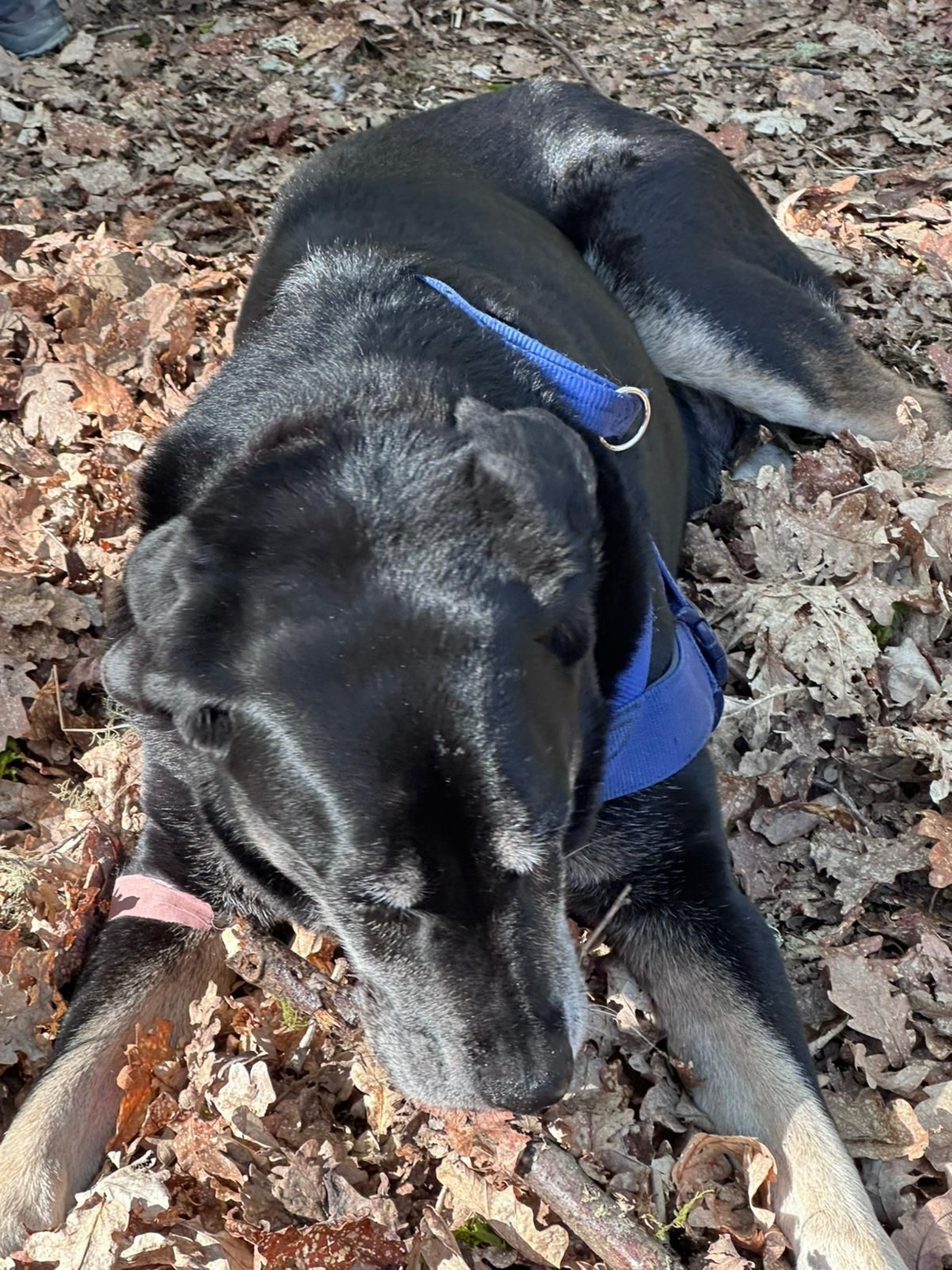 Imersión de primavera de Franciscanas