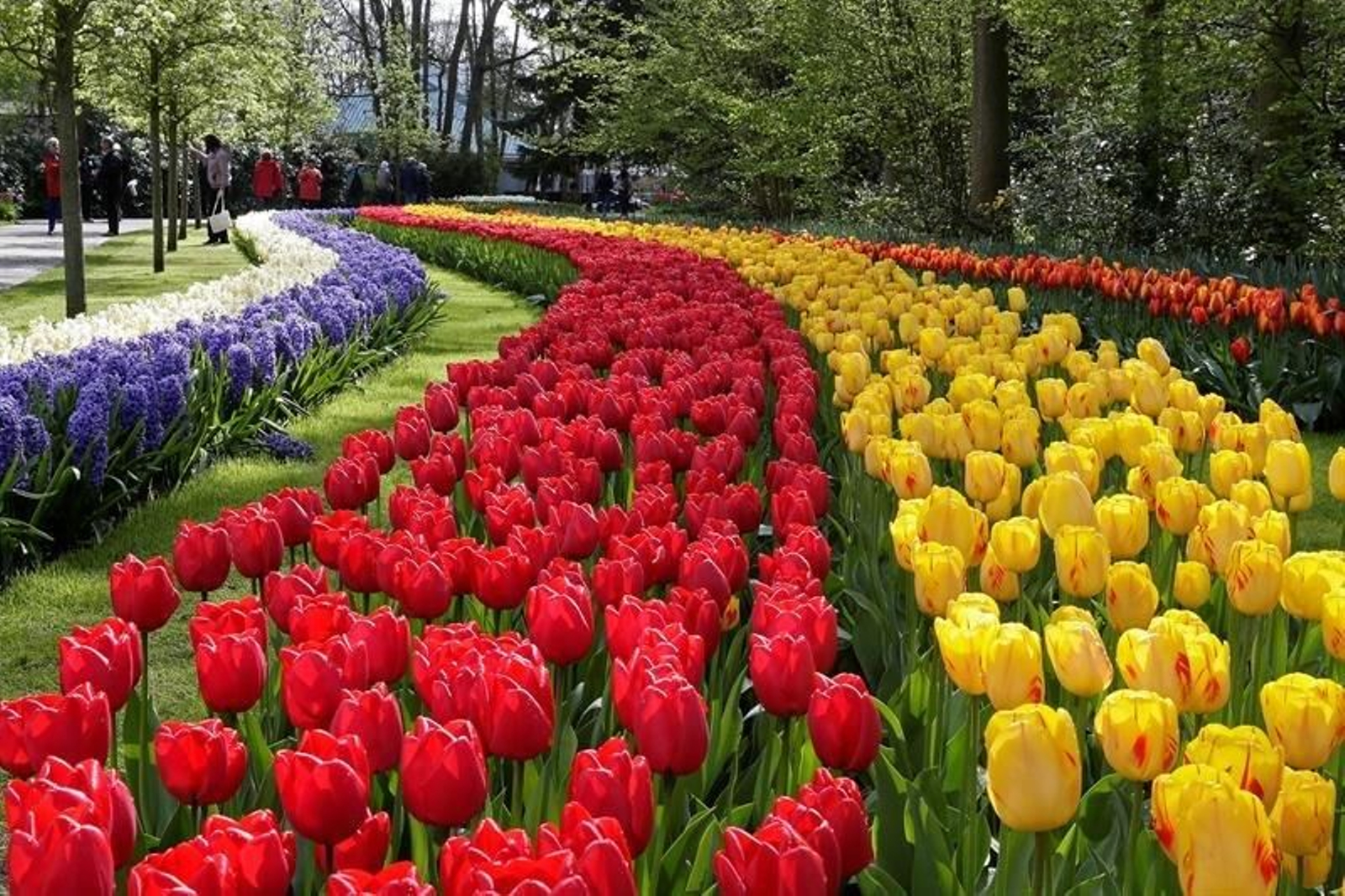 Imagen del parque floral Keukenhof