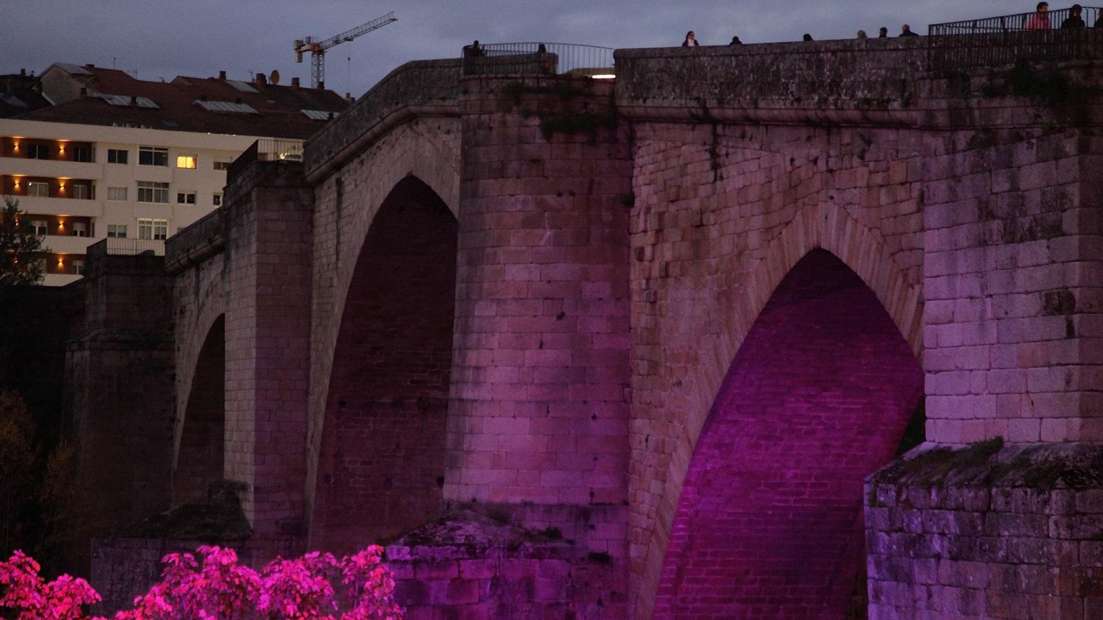 Galería | Ourense clama contra la violencia machista por el 25N