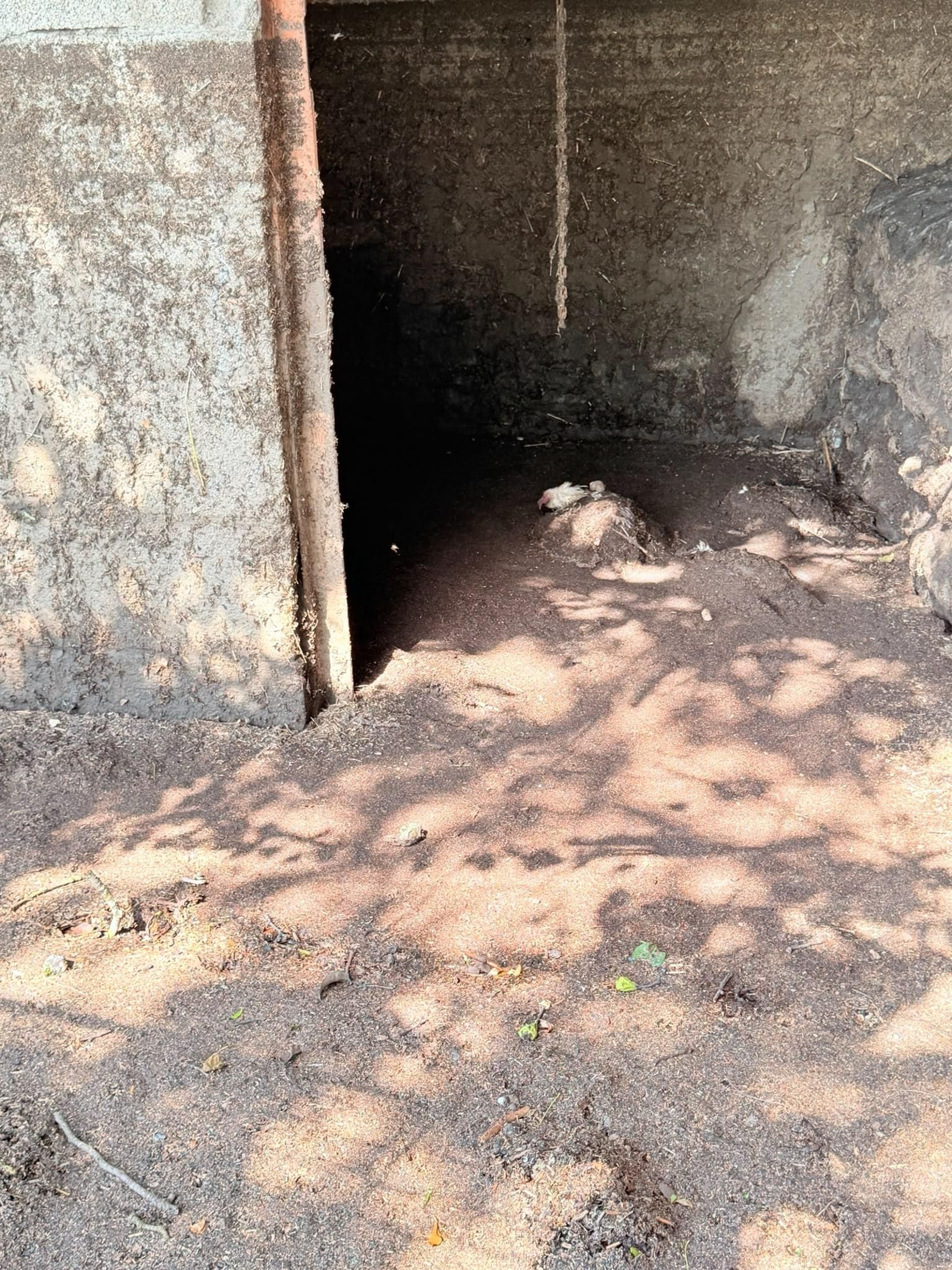 Galería | A Bouza, arrasada, reclama ayuda cuatro días después de la riada, en fotos