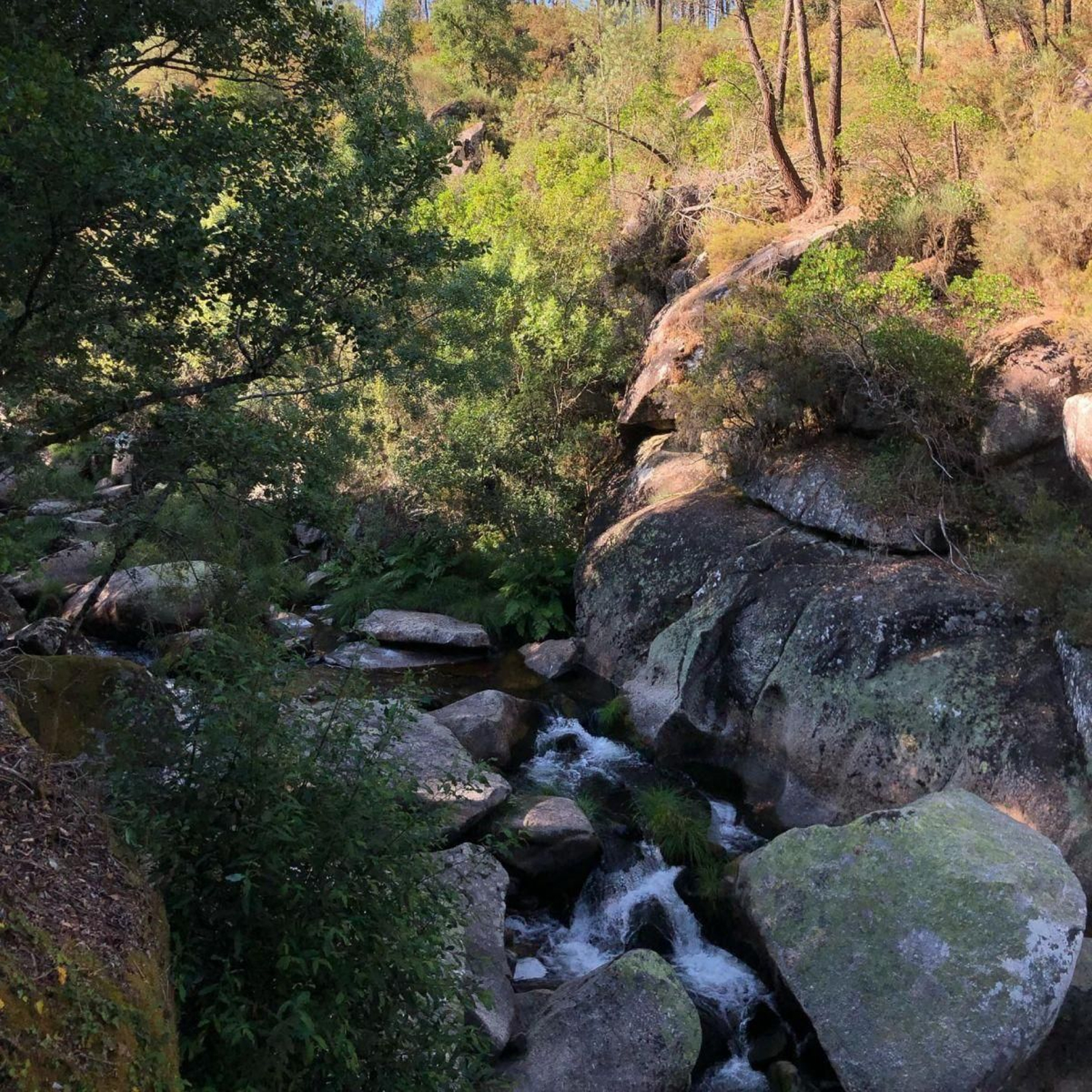 Parte del Sesume do Avia, en Avión.
