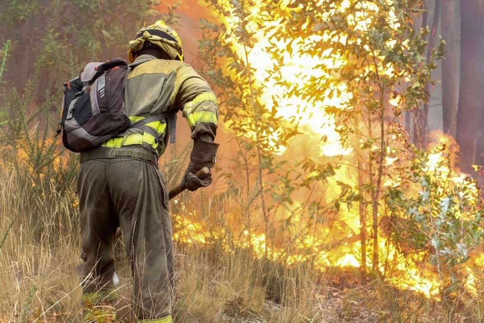 Un efectivo de la UME trabajando en el incendio de Pazos de Barbón.