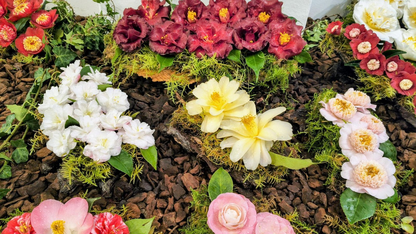 Las flores expuestas muestran un gran colorido y belleza.