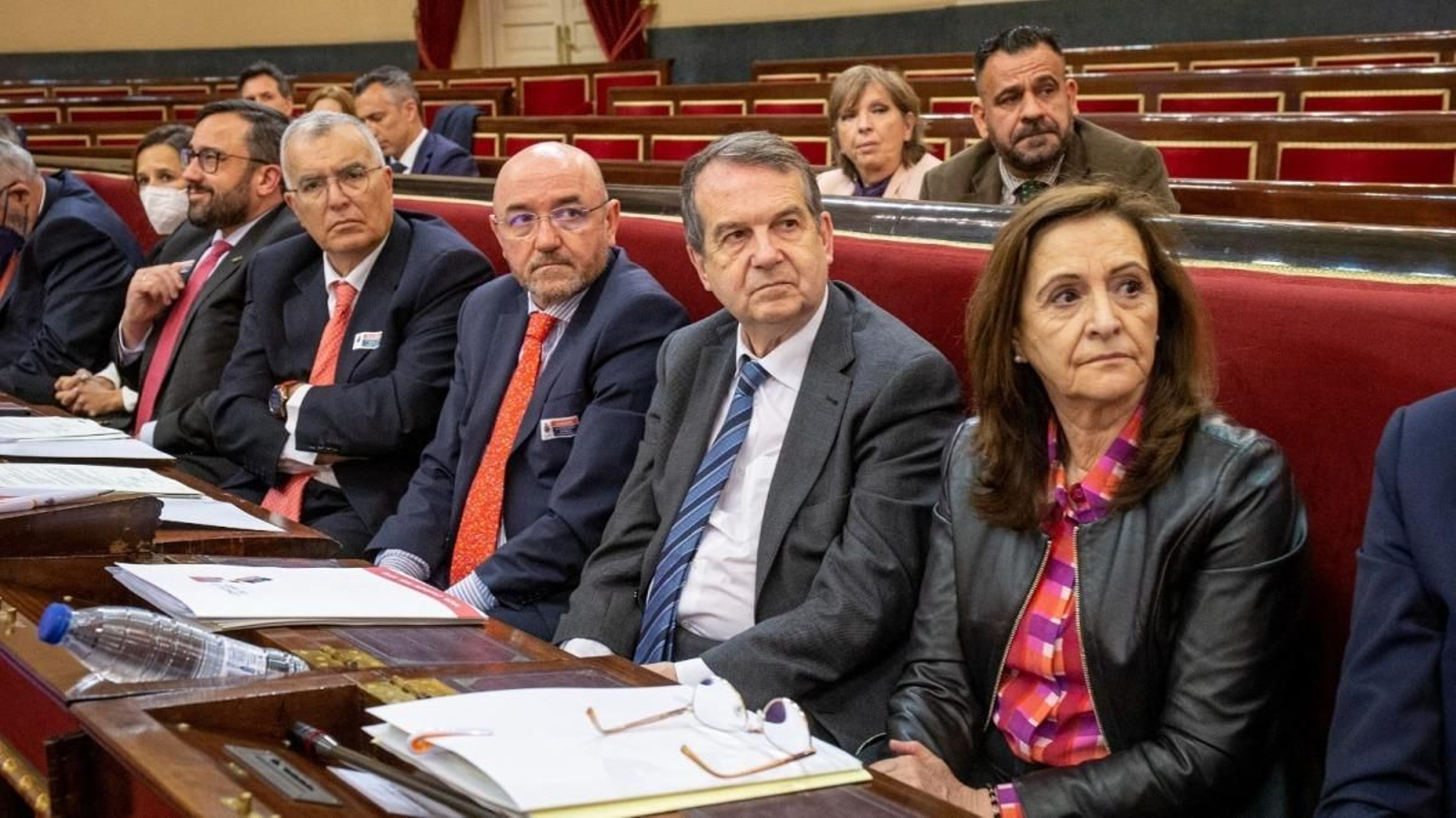 Abel Caballero, como presidente de la FEMP, ayer en el Senado.