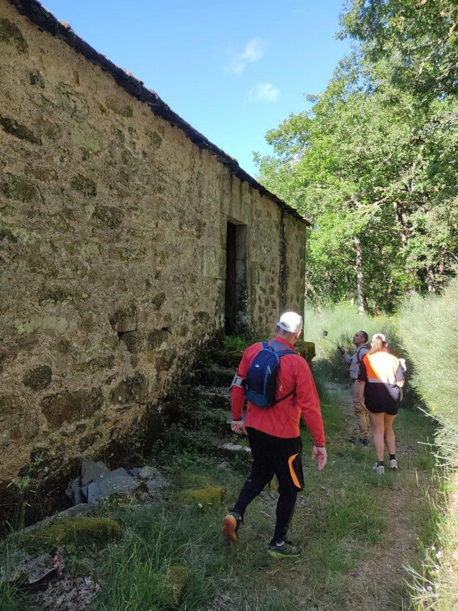 Distintas paradas