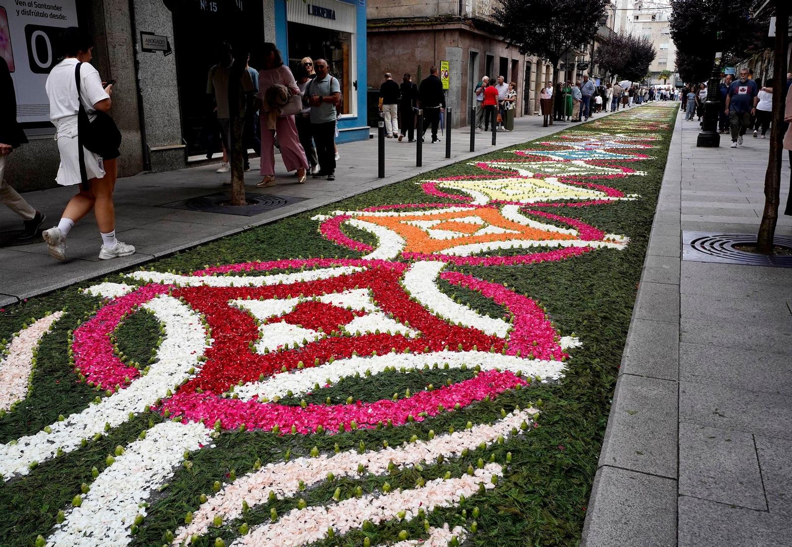 Galería | Redondela se llena de tradición con la Fiesta de la Coca