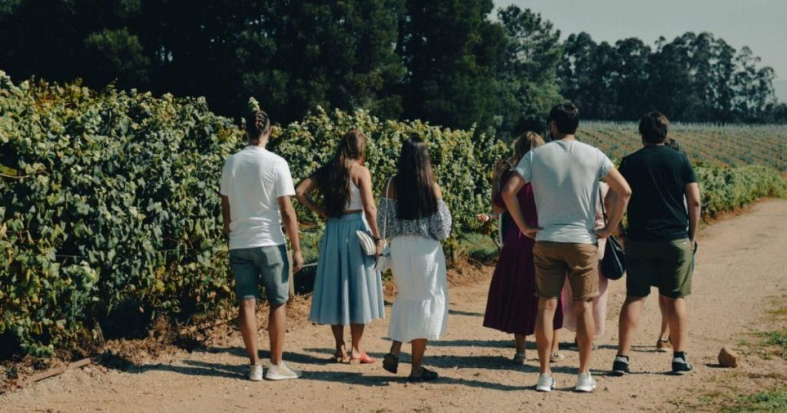 Visitantes nun viñedo da DO Rías Baixas.