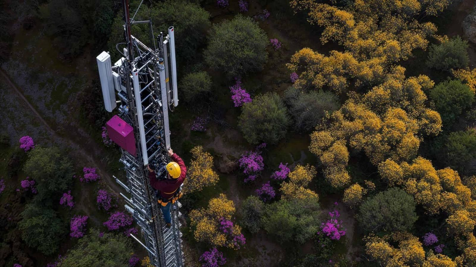 Un operario de telecomunicaciones