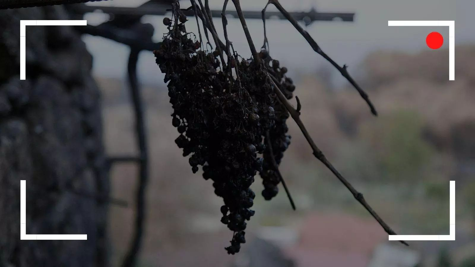 La actualidad de los incendios forestales en la provincia de Ourense, en directo.