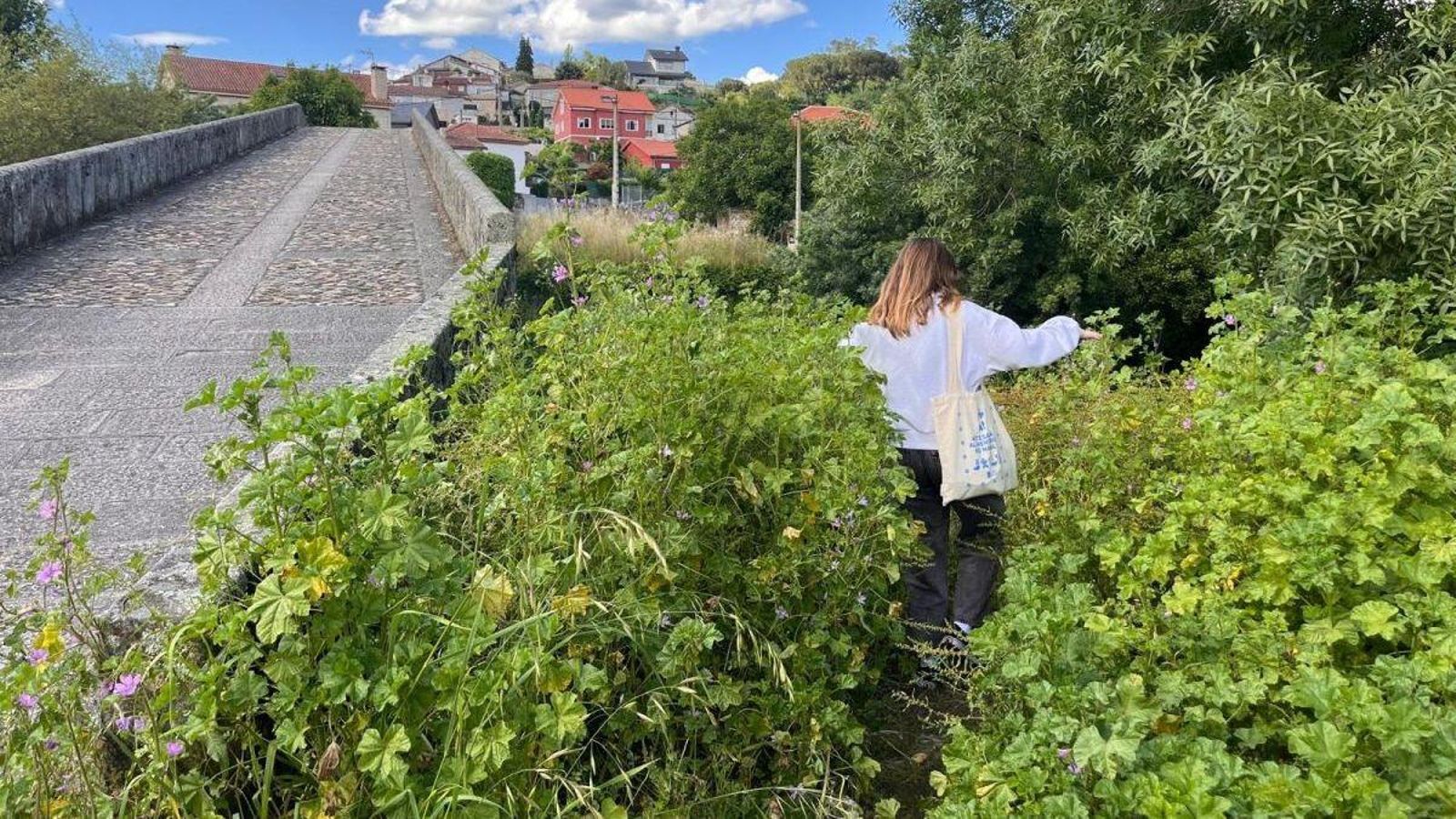 La zona del río Lonia totalmente abandonada