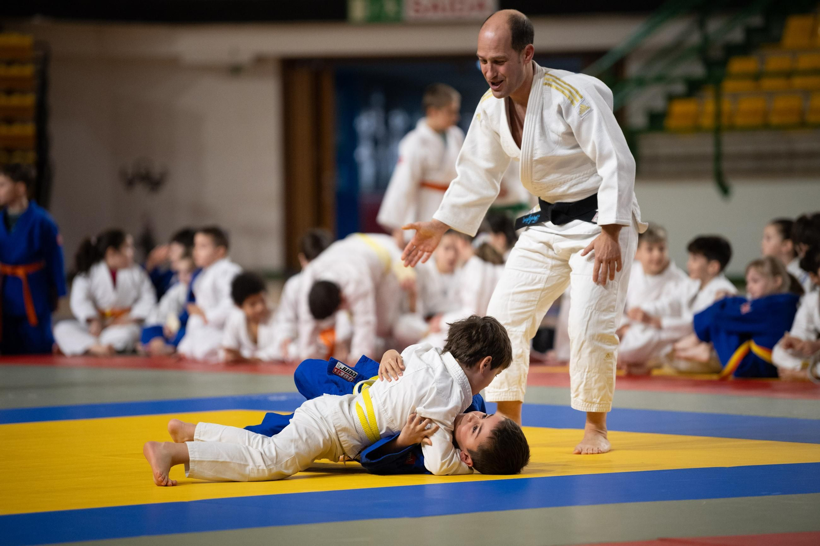 Galería | El judo arranca una edición más de su Copa Diputación