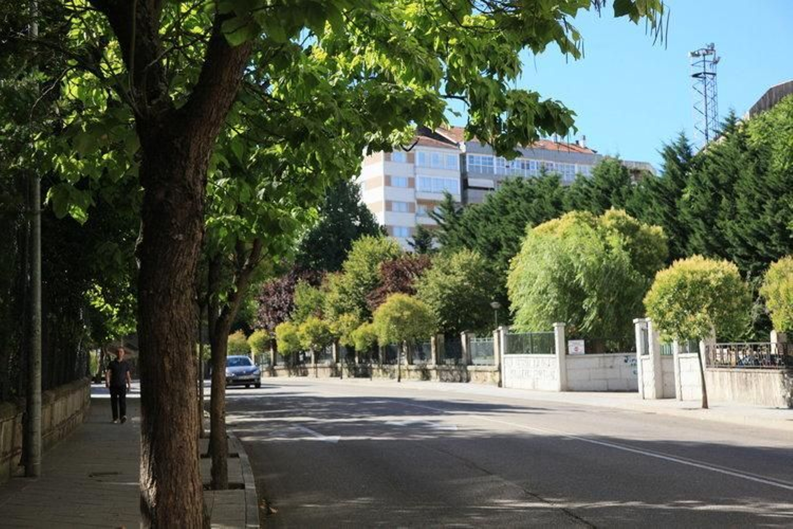 La avenida de Marín, la calle de Ourense donde más árboles hay plantados.