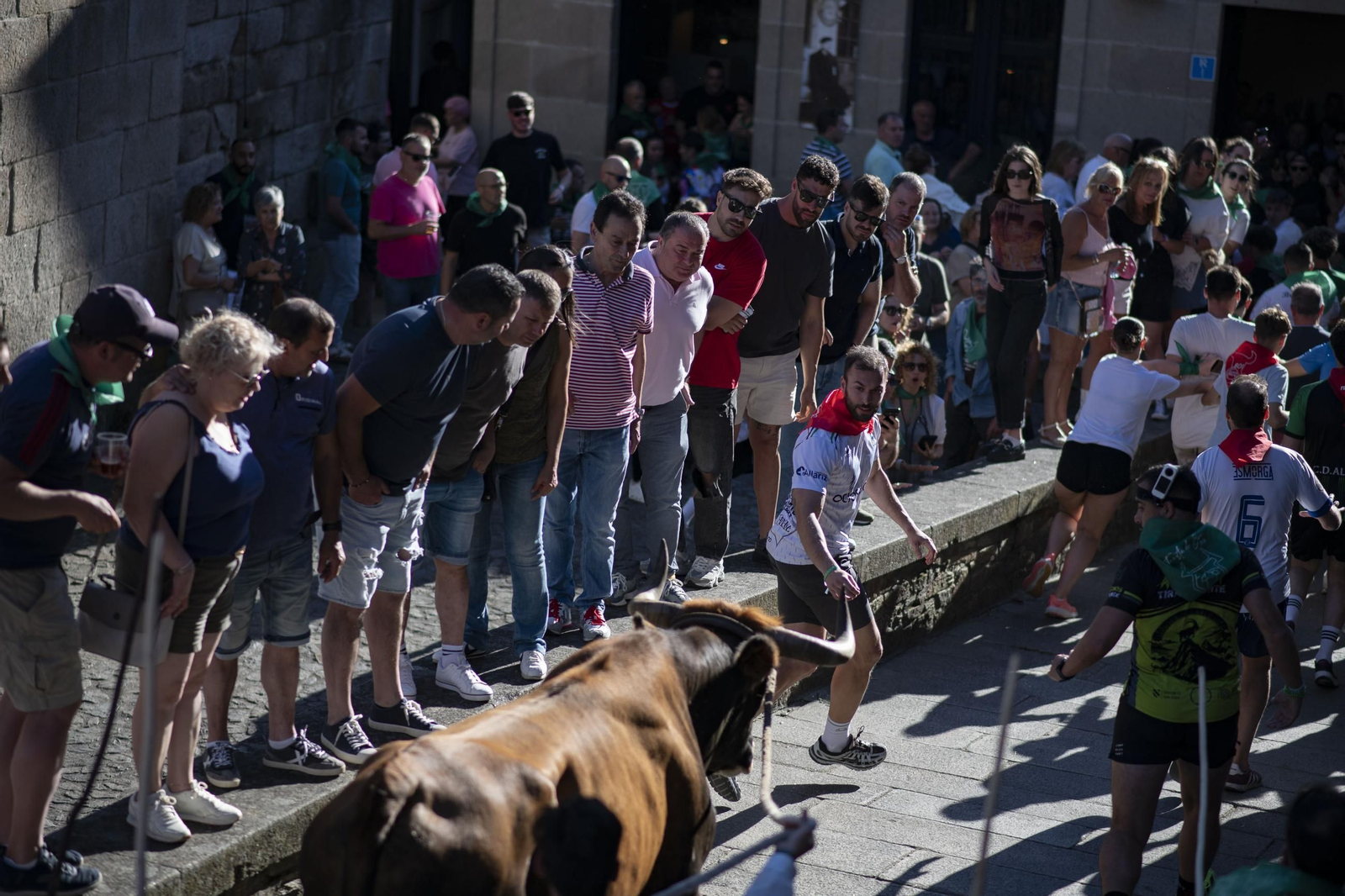 Galería | Allariz desfruta a Festa do Boi con paixón e fervor ata o último suspiro