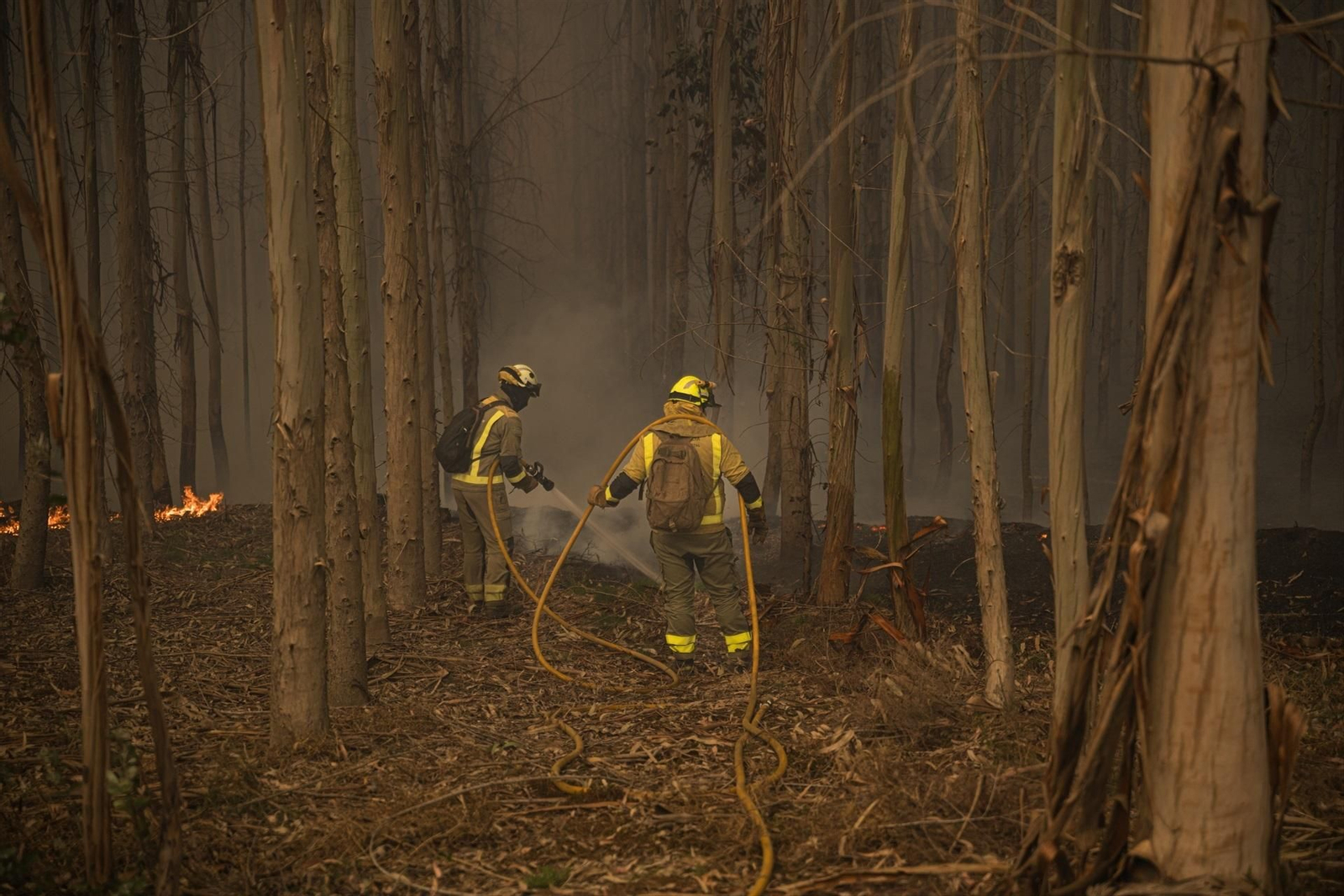 Bomberos trabajan en la extinción del incendio forestal en el monte Galleiro.