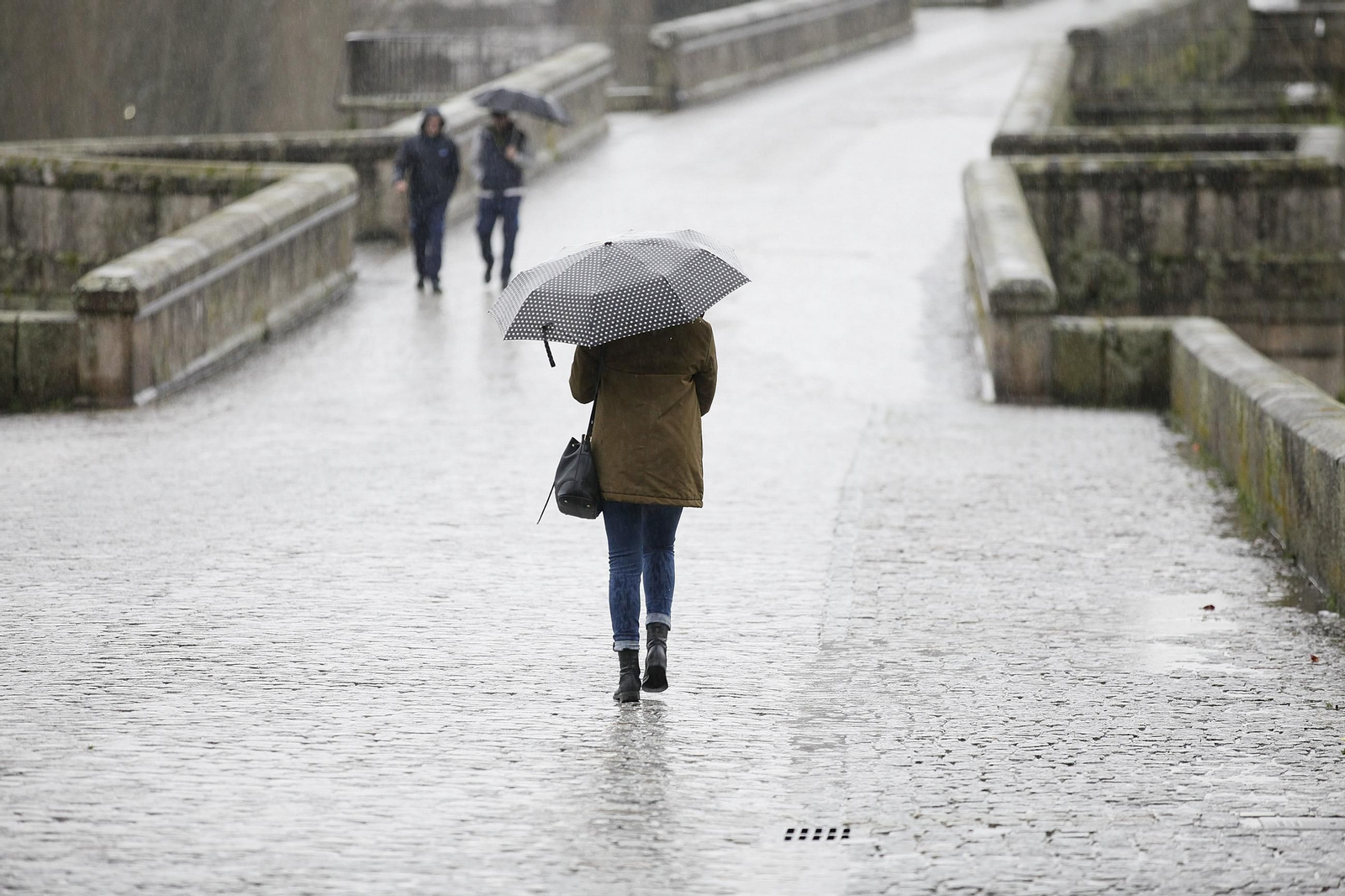 Galería | La crecida de los ríos anegan la provincia de Ourense