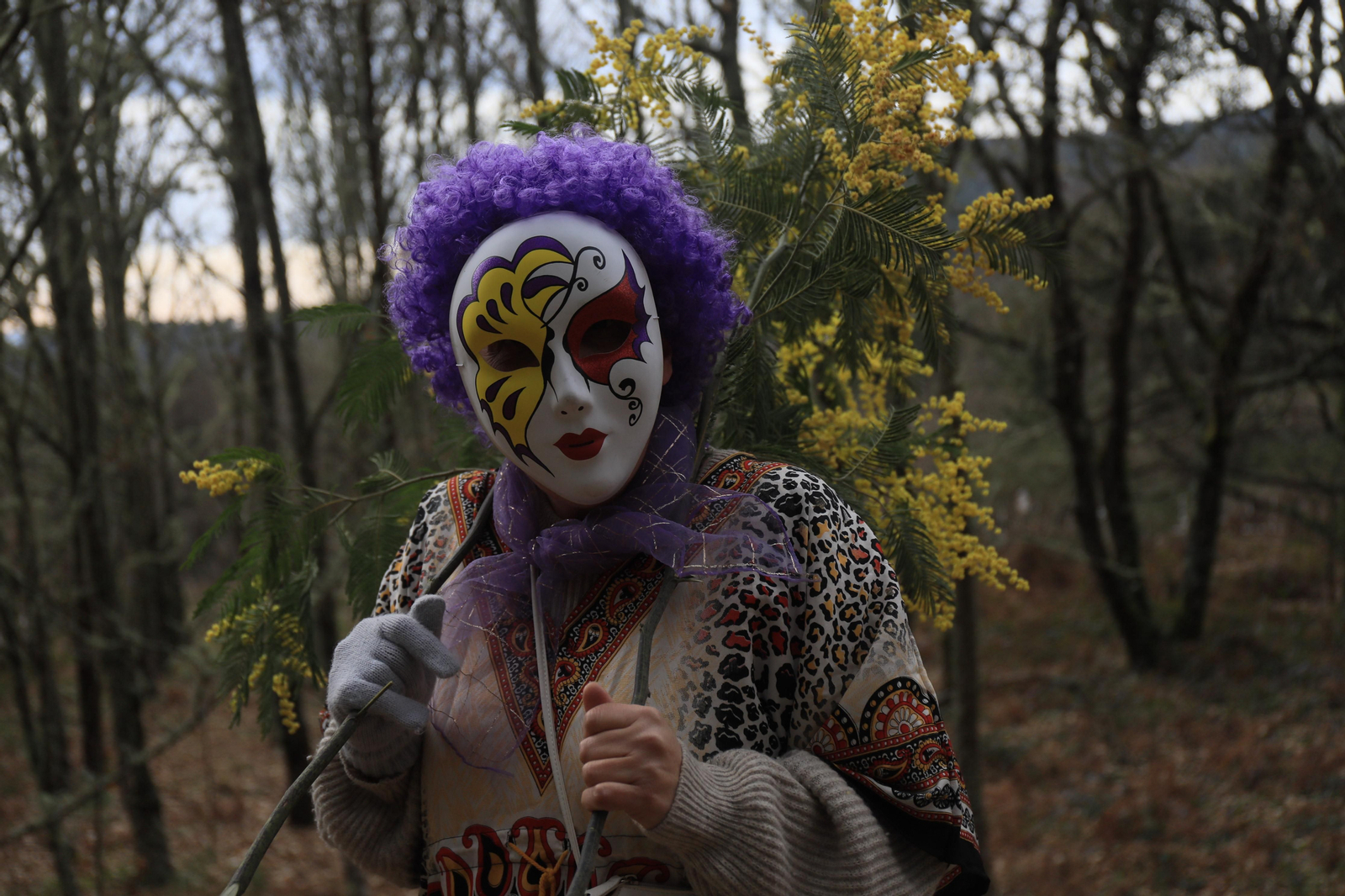 Caza del oso en Sande, Cartelle. José Paz