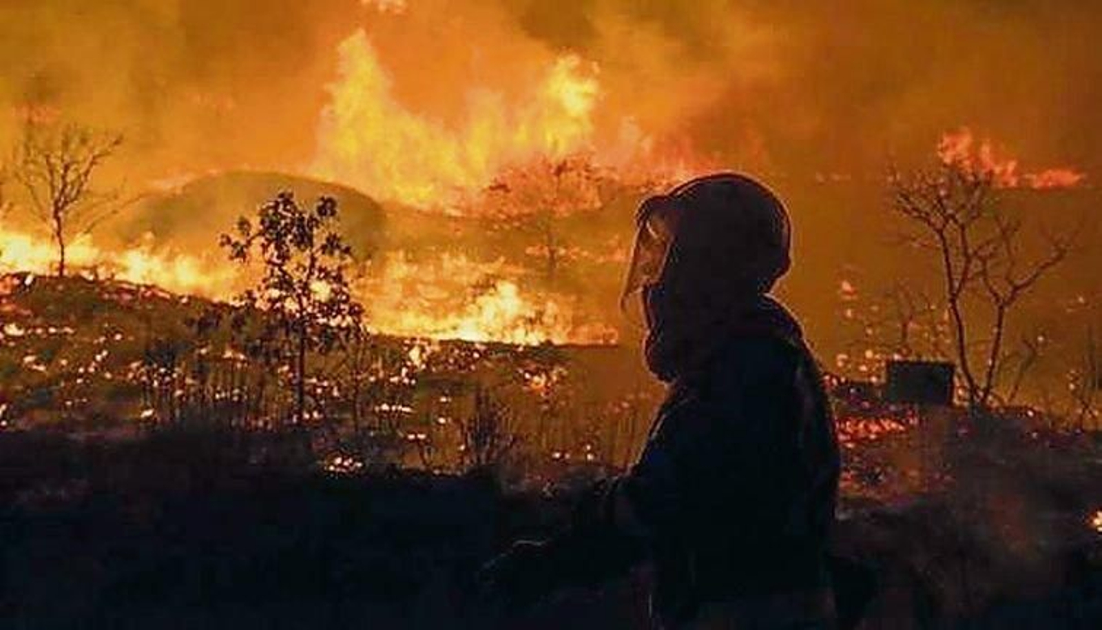 Los incendios forestales aumentan los niveles de dióxido de carbono en la atmósfera, contribuyendo al efecto invernadero y al cambio climático.