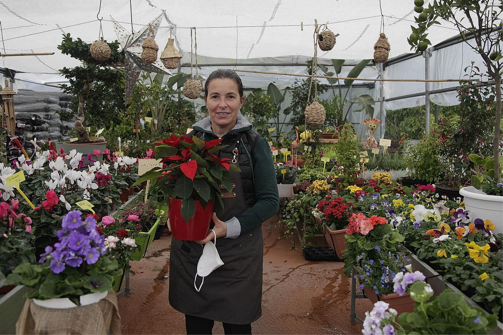 Pepi, responsable de Viveros Mende. (FOTO: MIGUEL ÁNGEL)