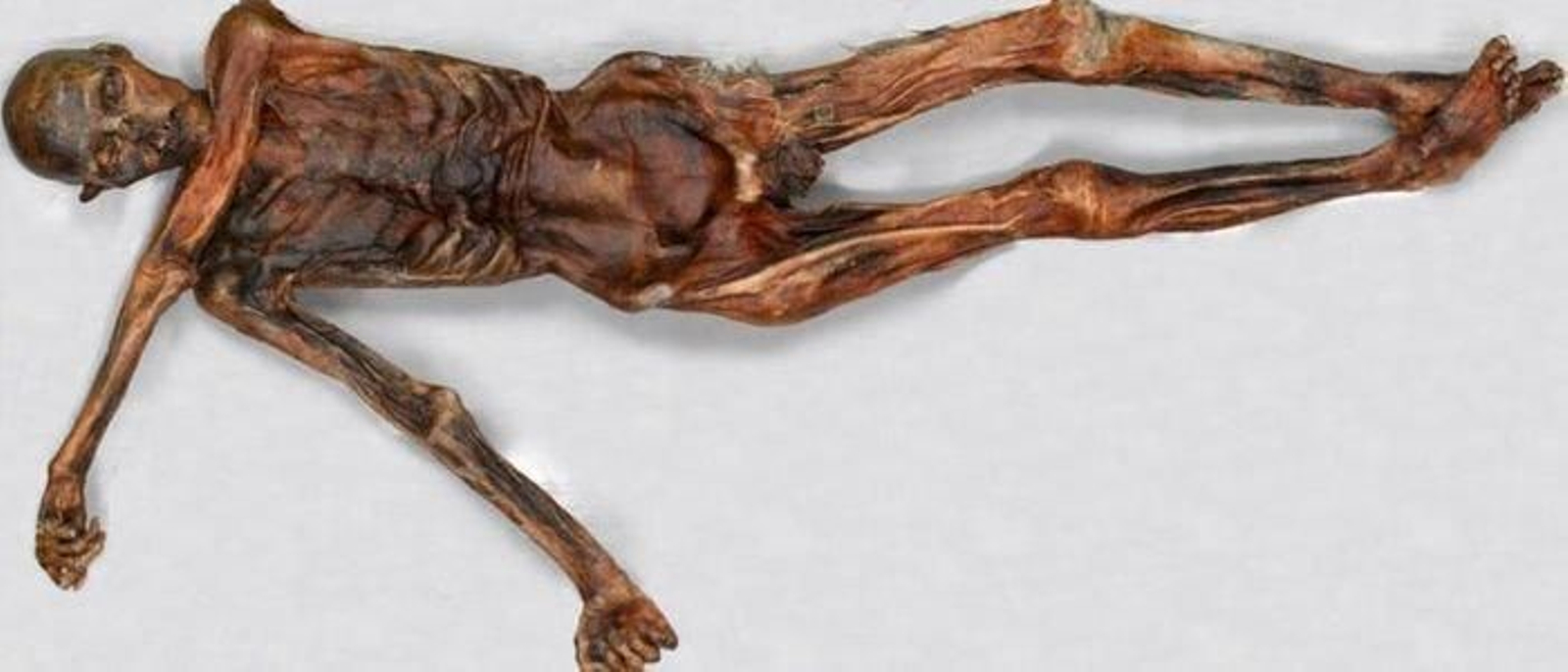 La momia Ötzi se encuentra perfectamente conservada a sus más de 5.000 años de antigüedad.