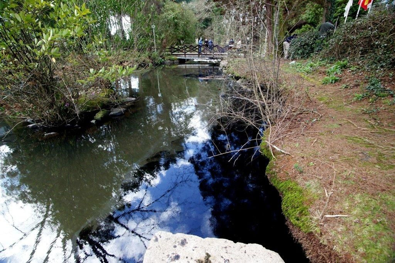 Vertido en el río Lagares Foto Vicente  05