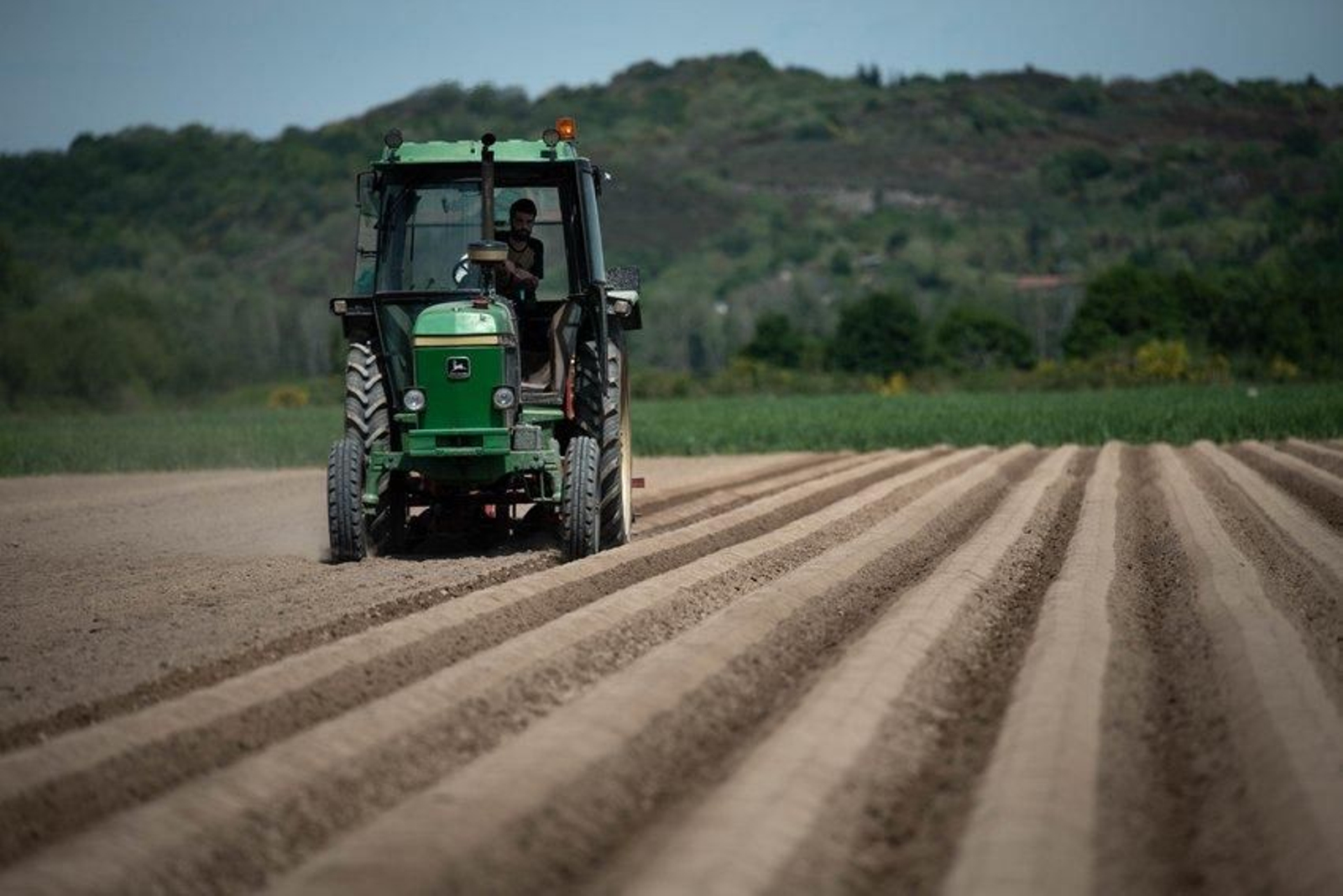 Varios agricultores siembran la patata en la comarca de A Limia. FOTO: ÓSCAR PINAL