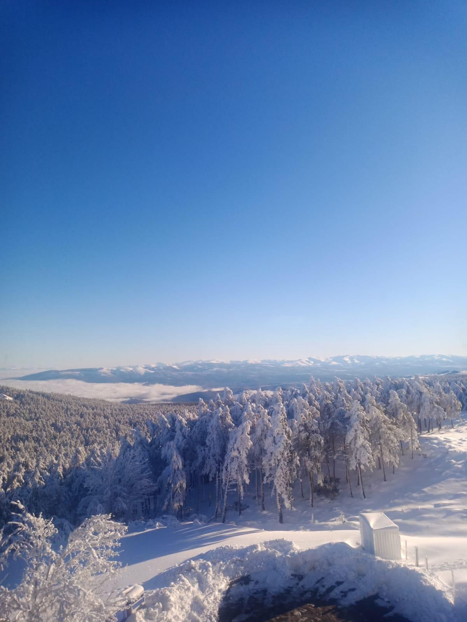 Manzaneda hoy, nevada.