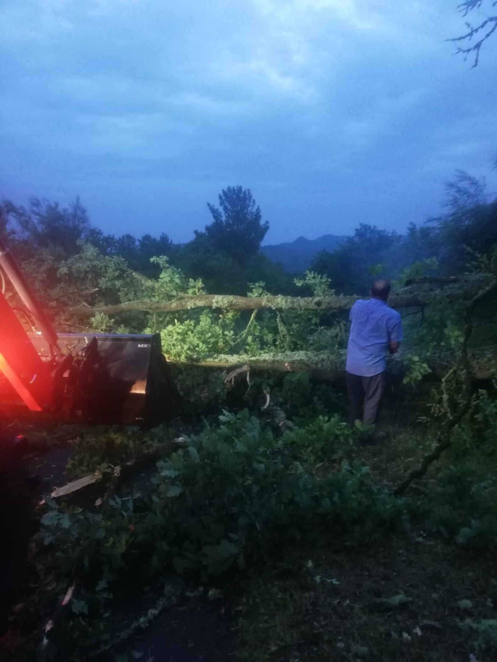 Caída de árboles en Esgos
