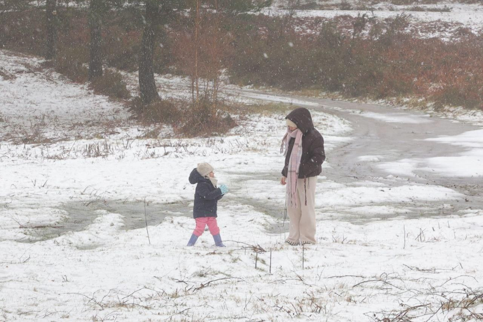 Galería | Los estragos de la borrasca Ingrid en Vigo y su área