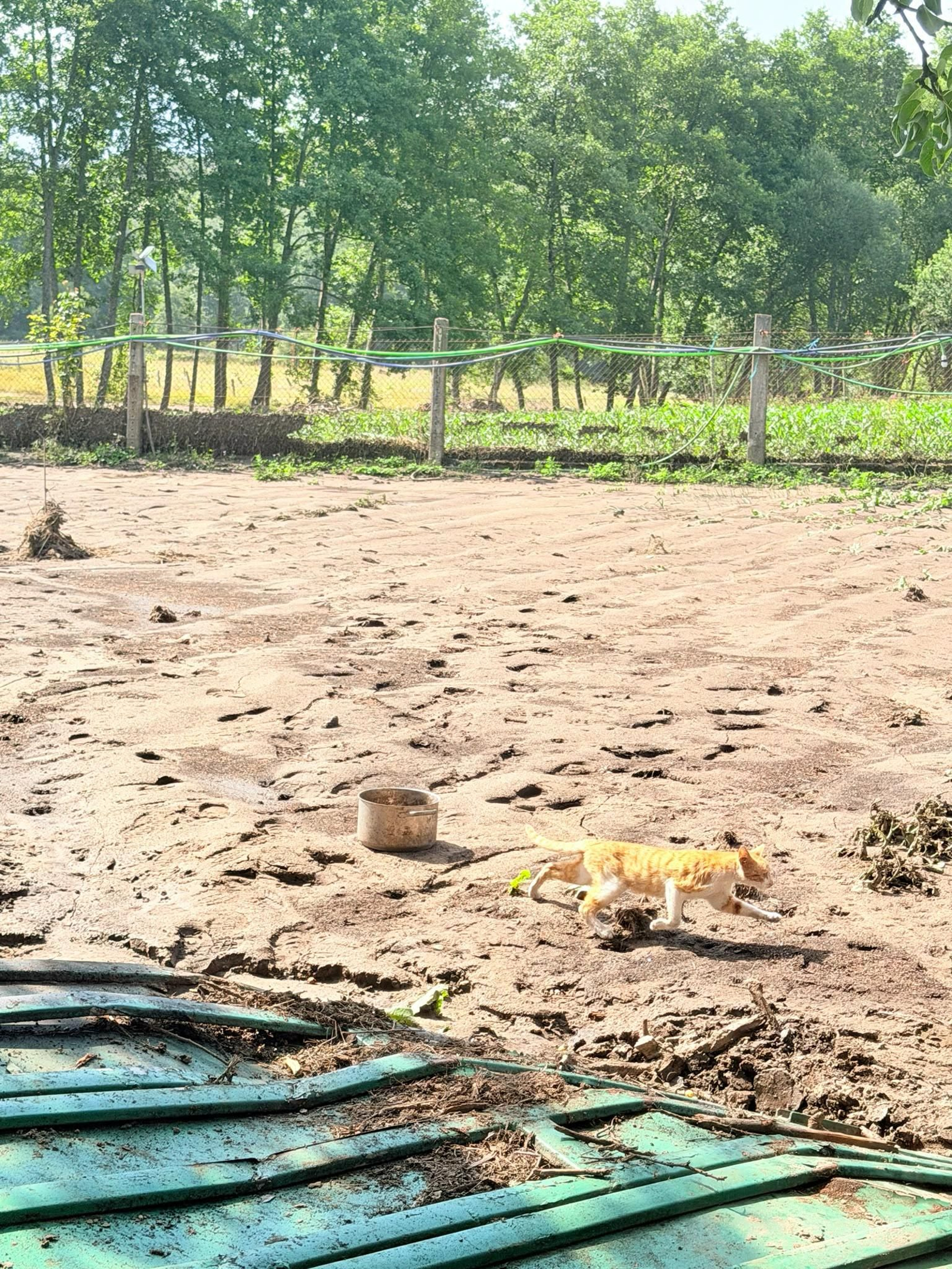 Galería | A Bouza, arrasada, reclama ayuda cuatro días después de la riada, en fotos