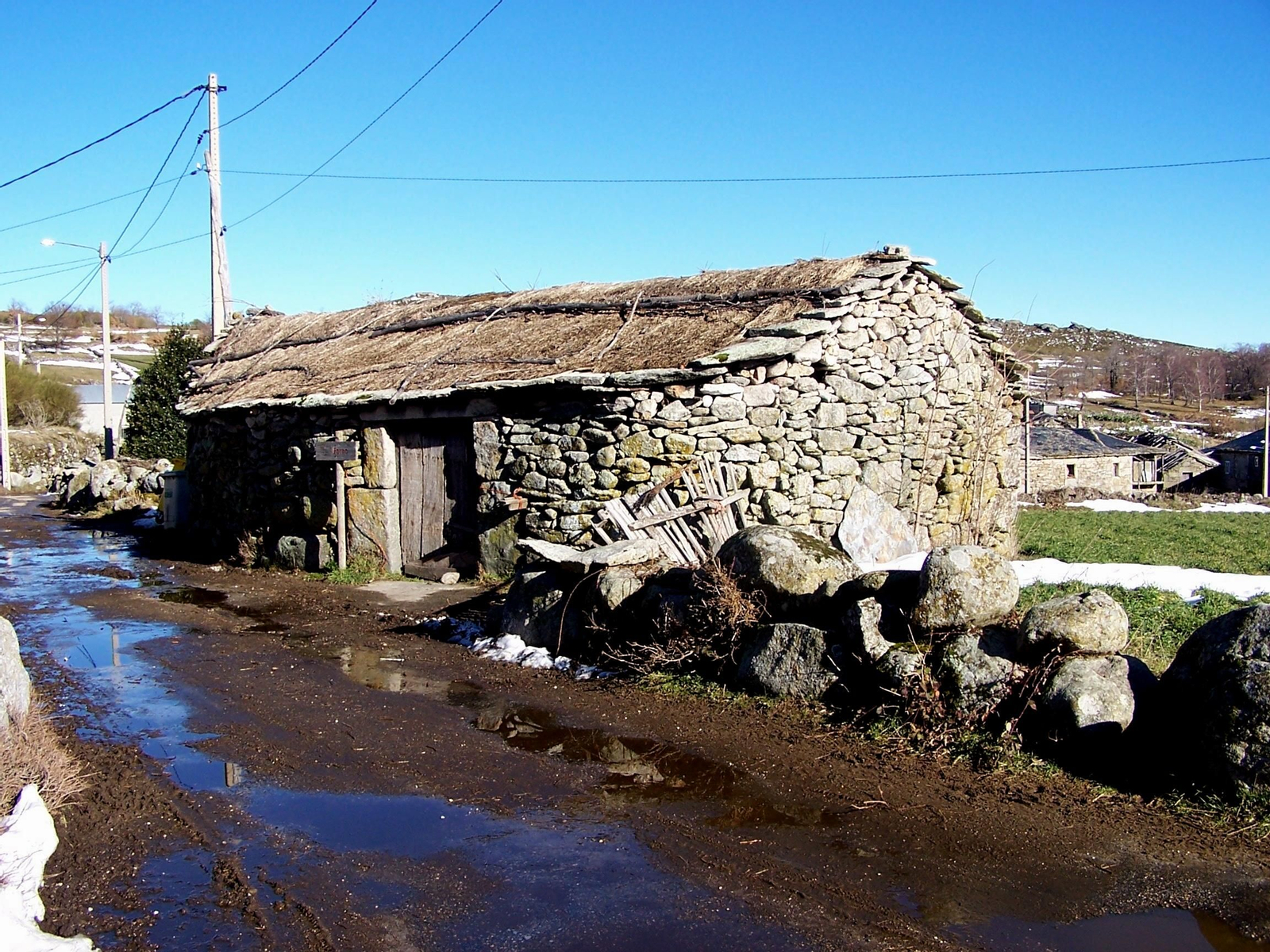 Chaguazoso