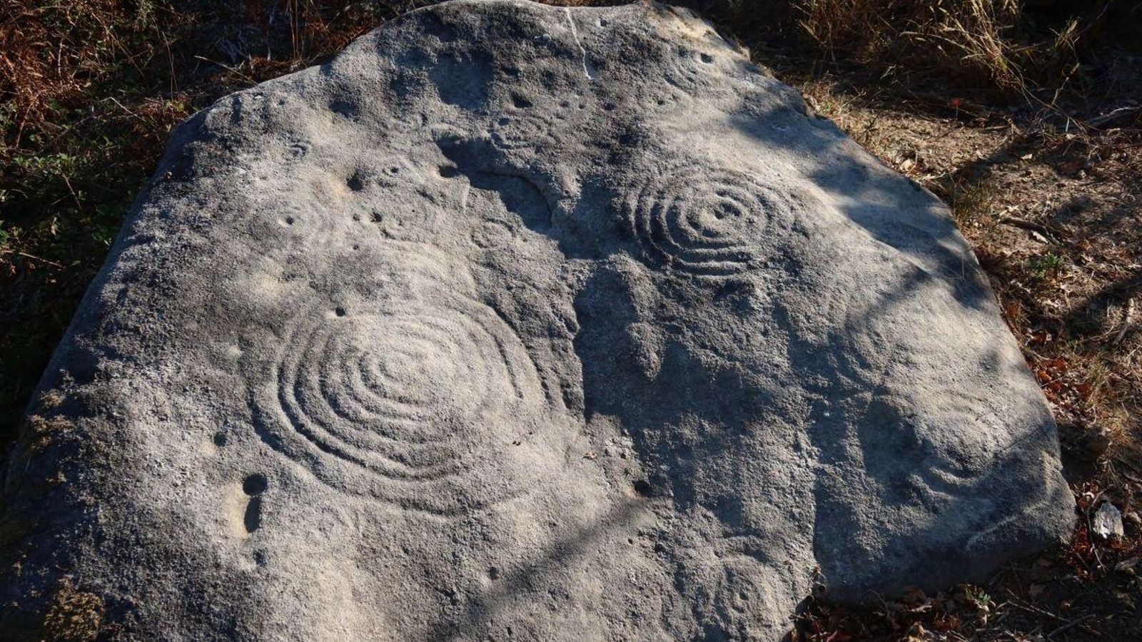 Detalle de una de las rocas que contiene los grabados rupestres