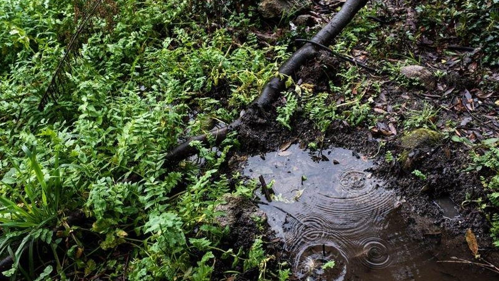 OURENSE (VELLE-RÚA JUAN FERNÁNDEZ DE GRES). 29/01/2020. OURENSE. Vertidos residuales en riachuelos y ríos de Ourense. FOTO: ÓSCAR PINAL 