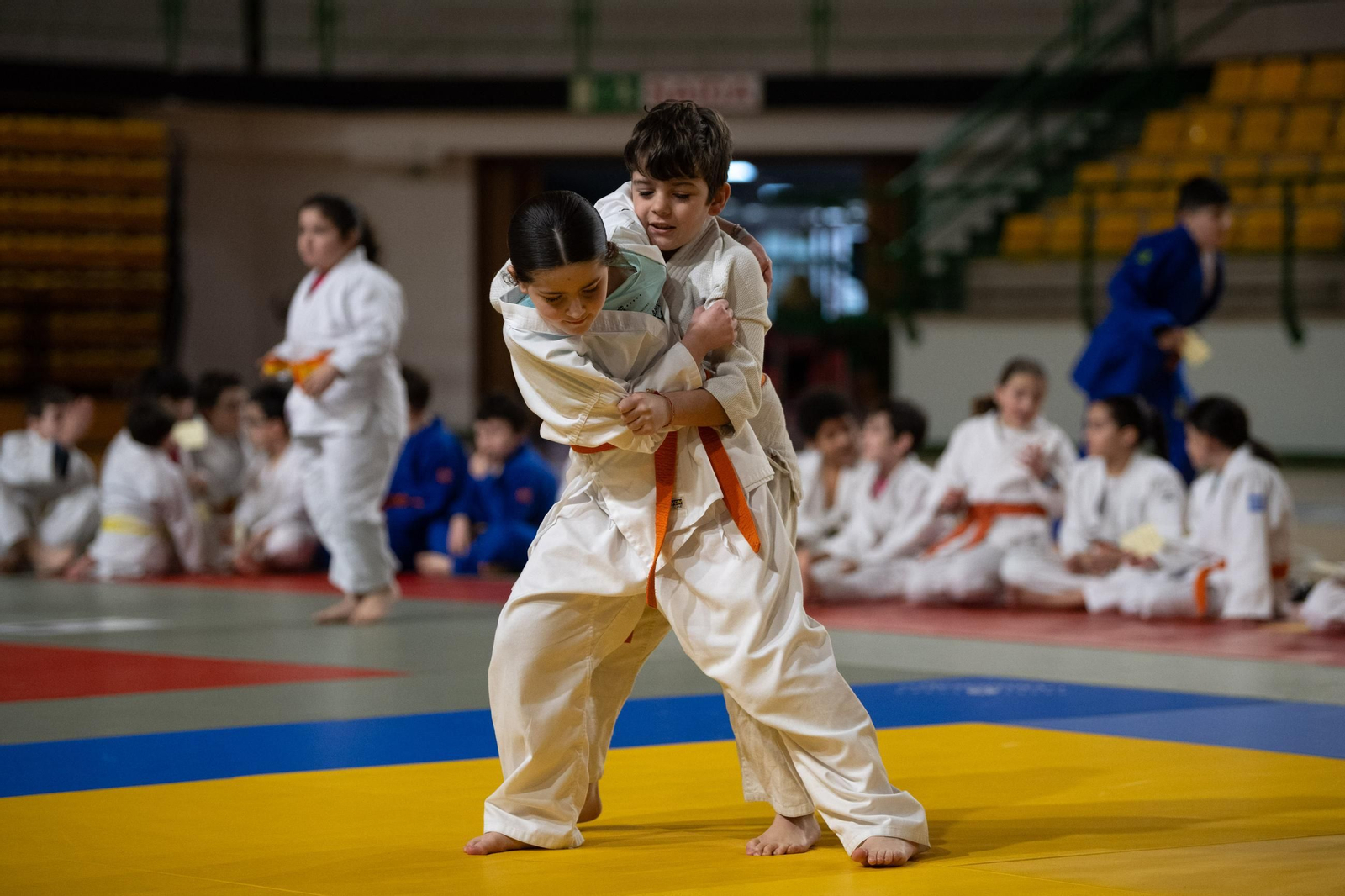 Galería | El judo arranca una edición más de su Copa Diputación