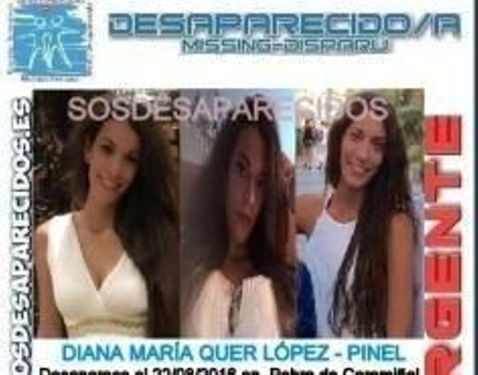 Imagen del cartel de Diana Quer difundido por cinco países europeos.