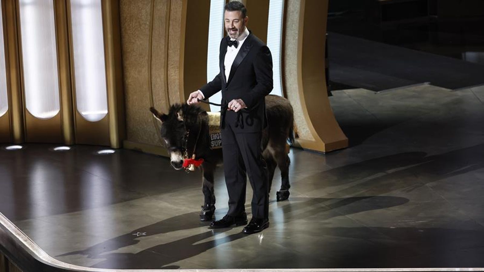 La burra sobre el escenario del Teatro Dolby (EFE).