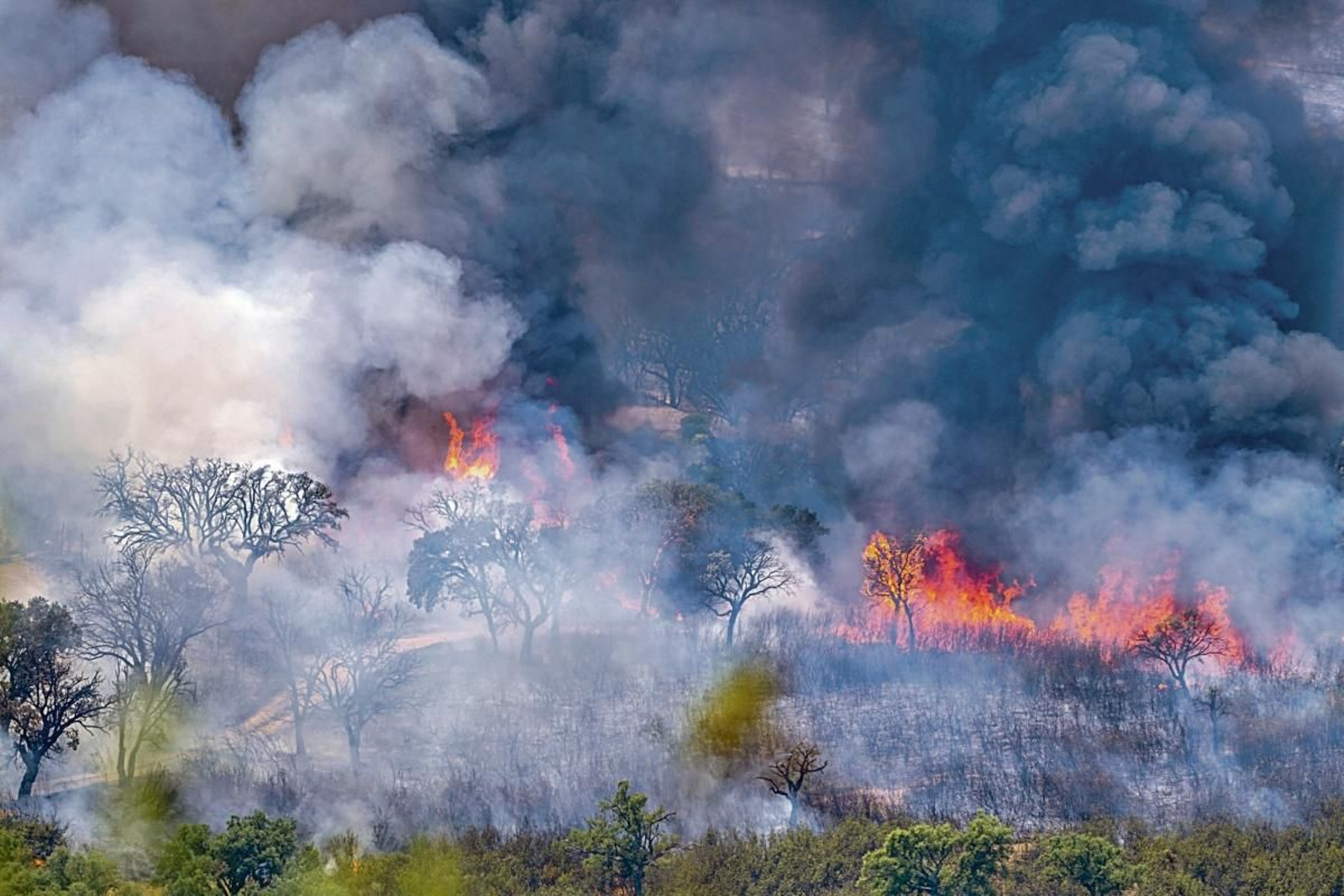 El fuego en el Parque Nacional de Monfragüe, en el municipio de Deleitosa (Cáceres).