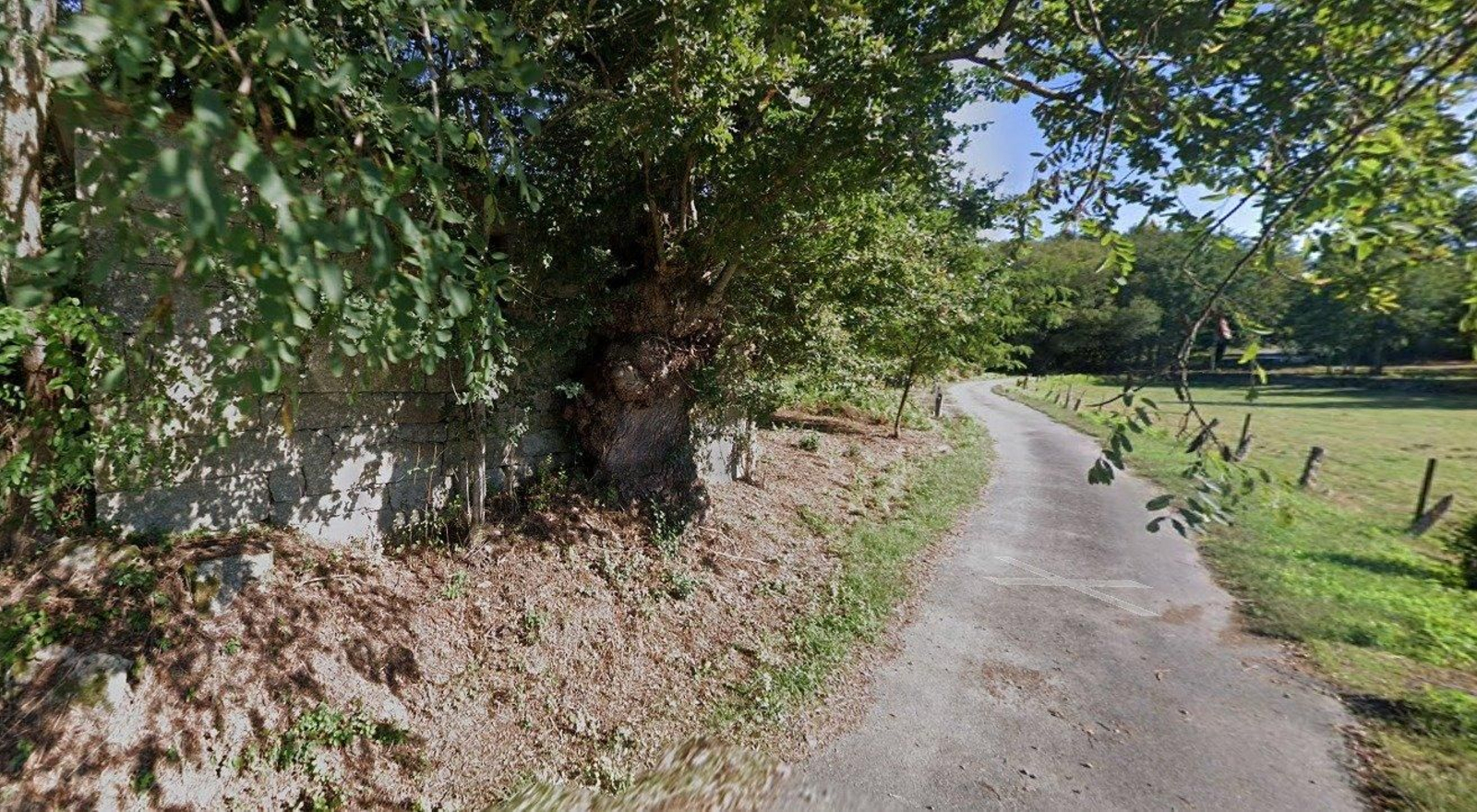 Camino de Malburguete a O Toxedo