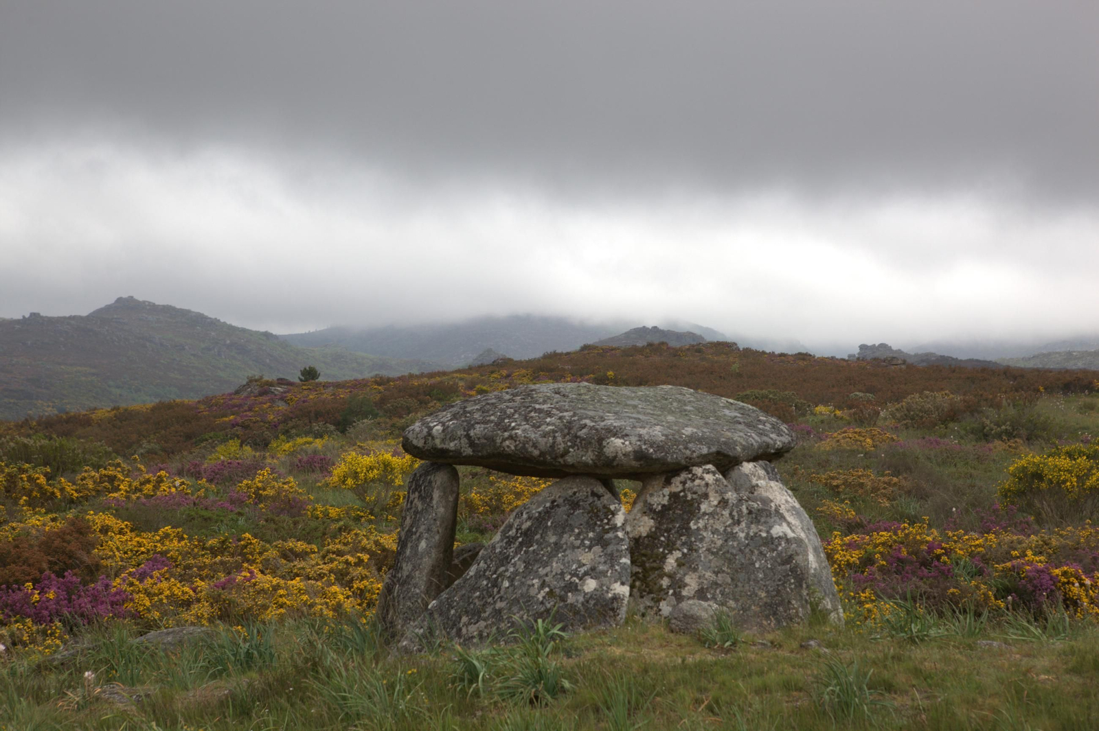 Dolmen no val do Salas