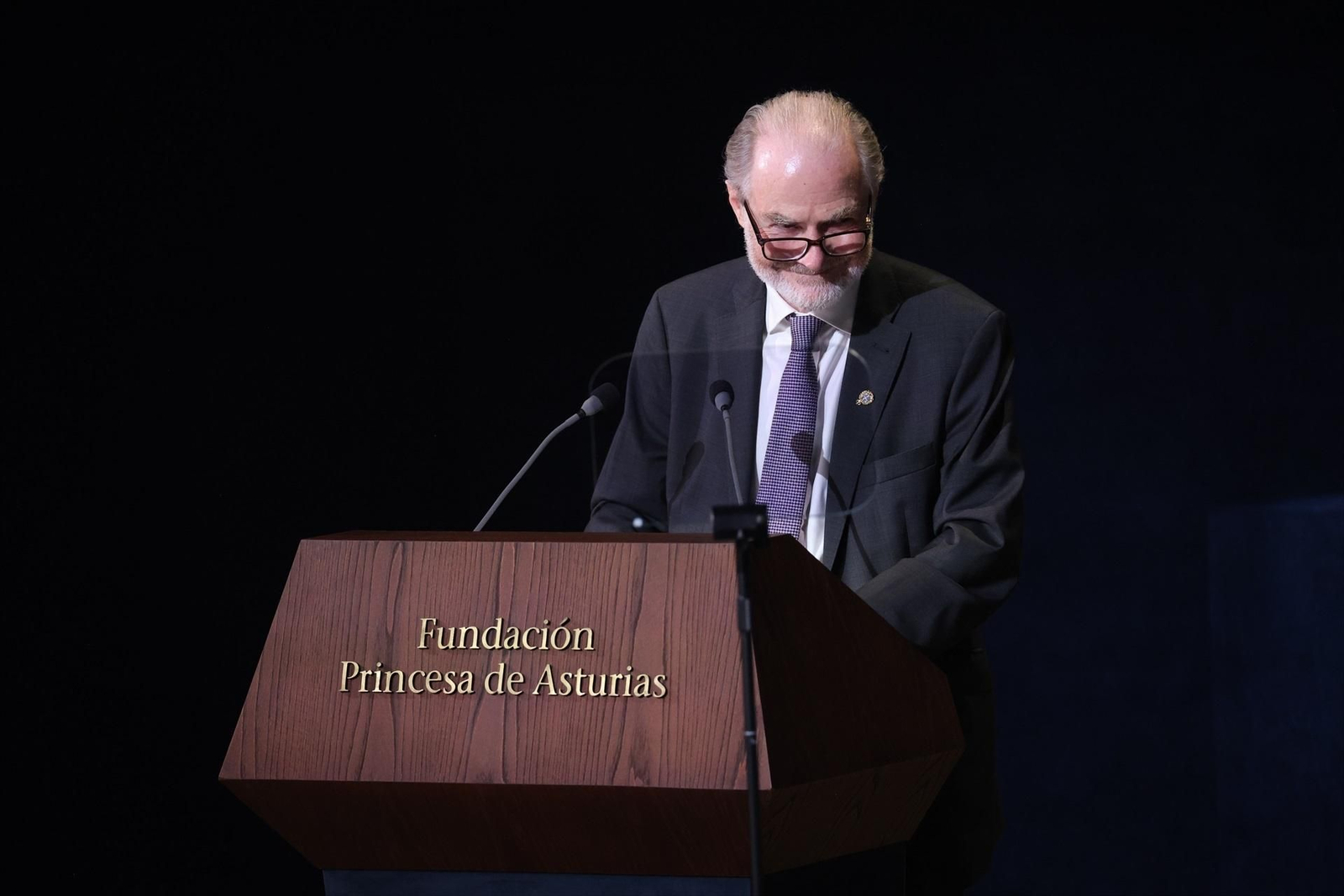 El ensayista brtiánico Timothy Garton Ash, pronuncia su discurso durante los Premios Princesa de Asturias.