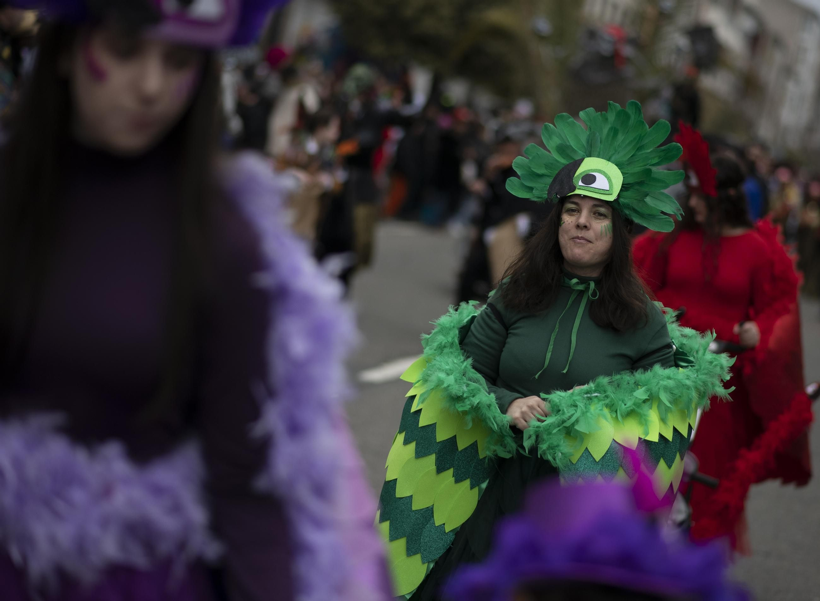 Galería | Verín vive su domingo de Entroido, el desfile en fotos