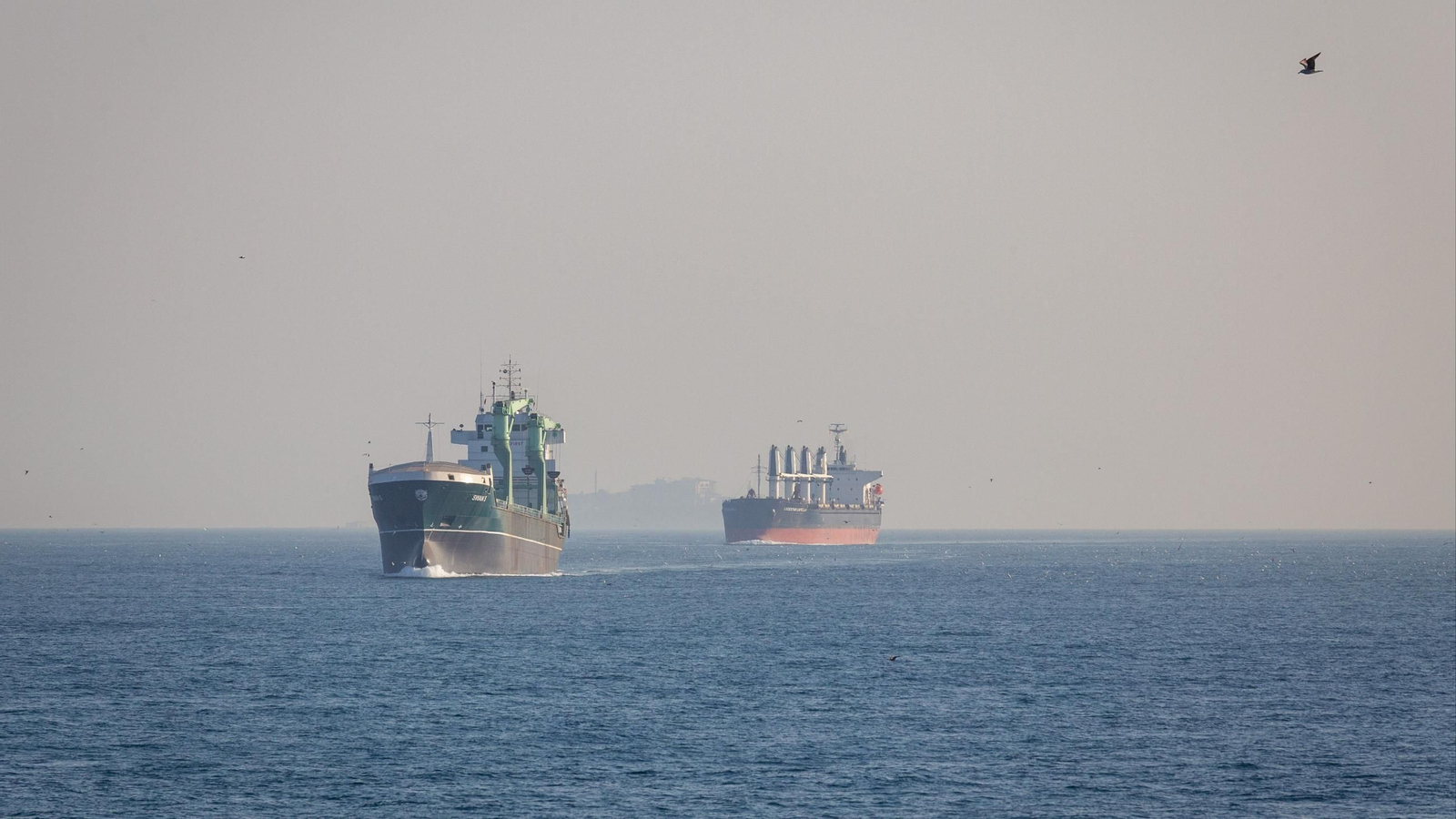 Buques petroleros y de carga transitan por el estrecho del Bósforo en Estambul