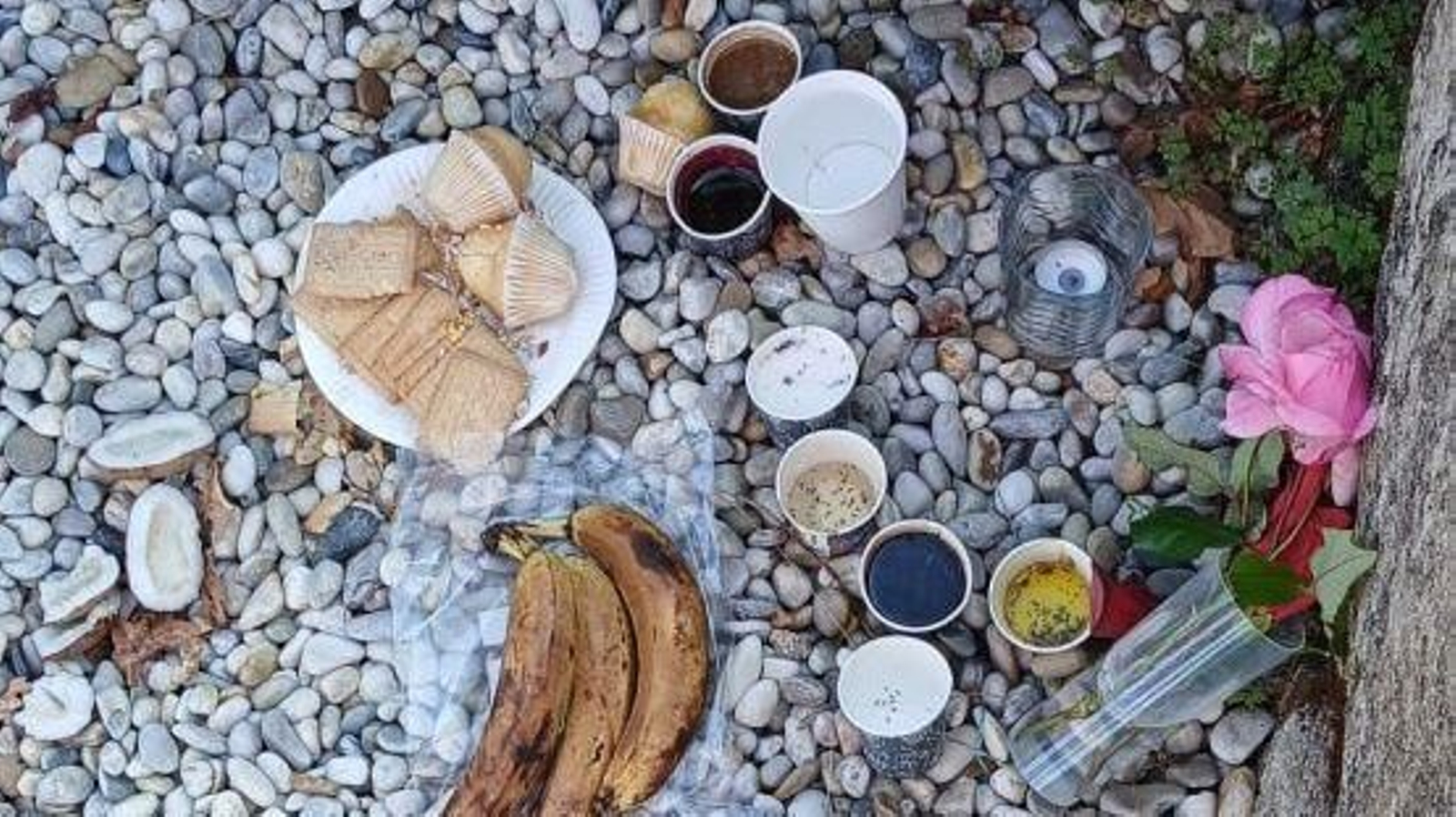Conjunto de objetos encontrados en el interior de la Torre de Meira.