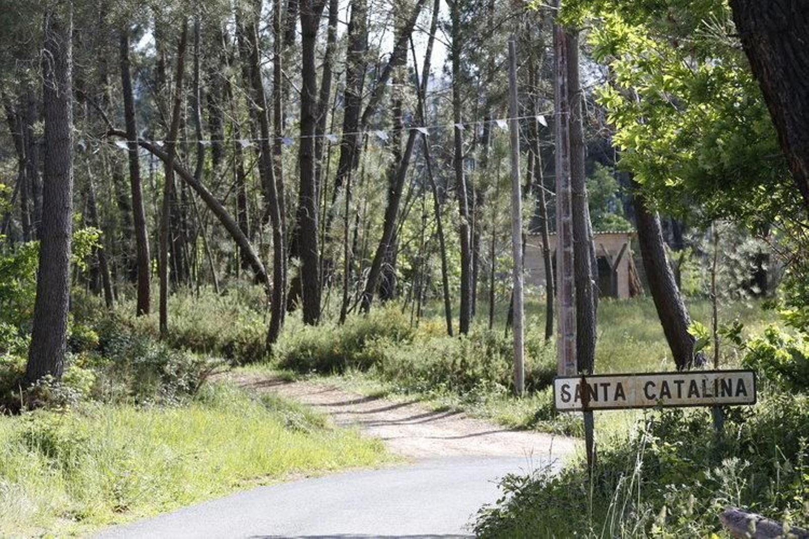 El entorno de Santa Catalina, en Cartelle, en una imagen de archivo. (FOTO: Xesús Fariñas)