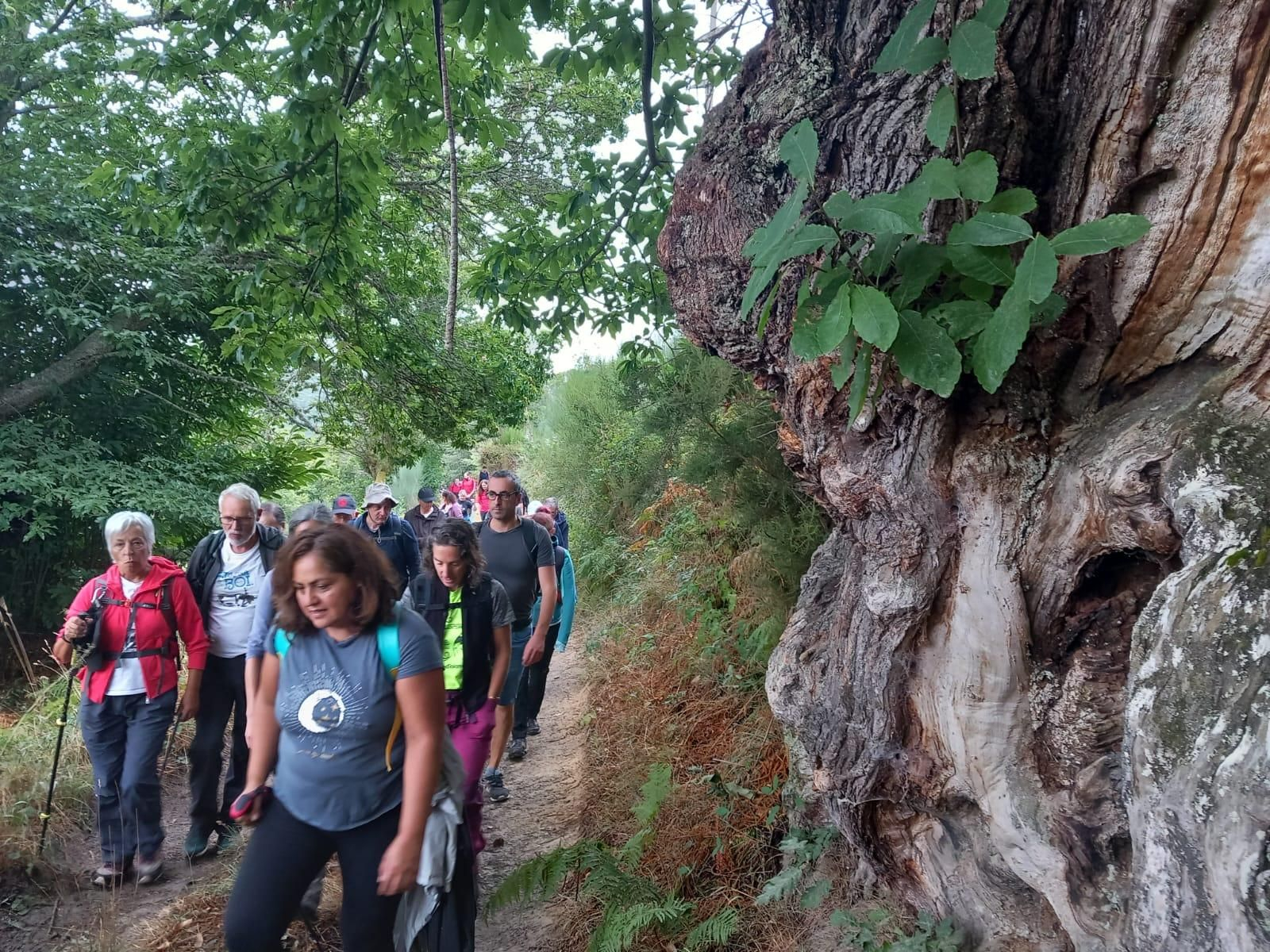 WhatsApp Image 2023-09-04 at 16.03.08