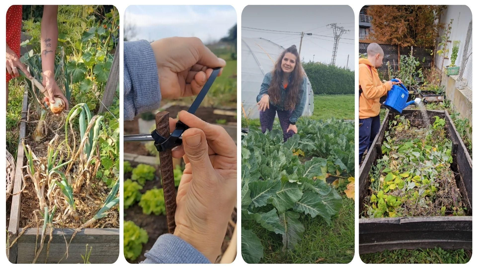 Ideas y consejos para sacar partido a un huerto de autoconsumo.