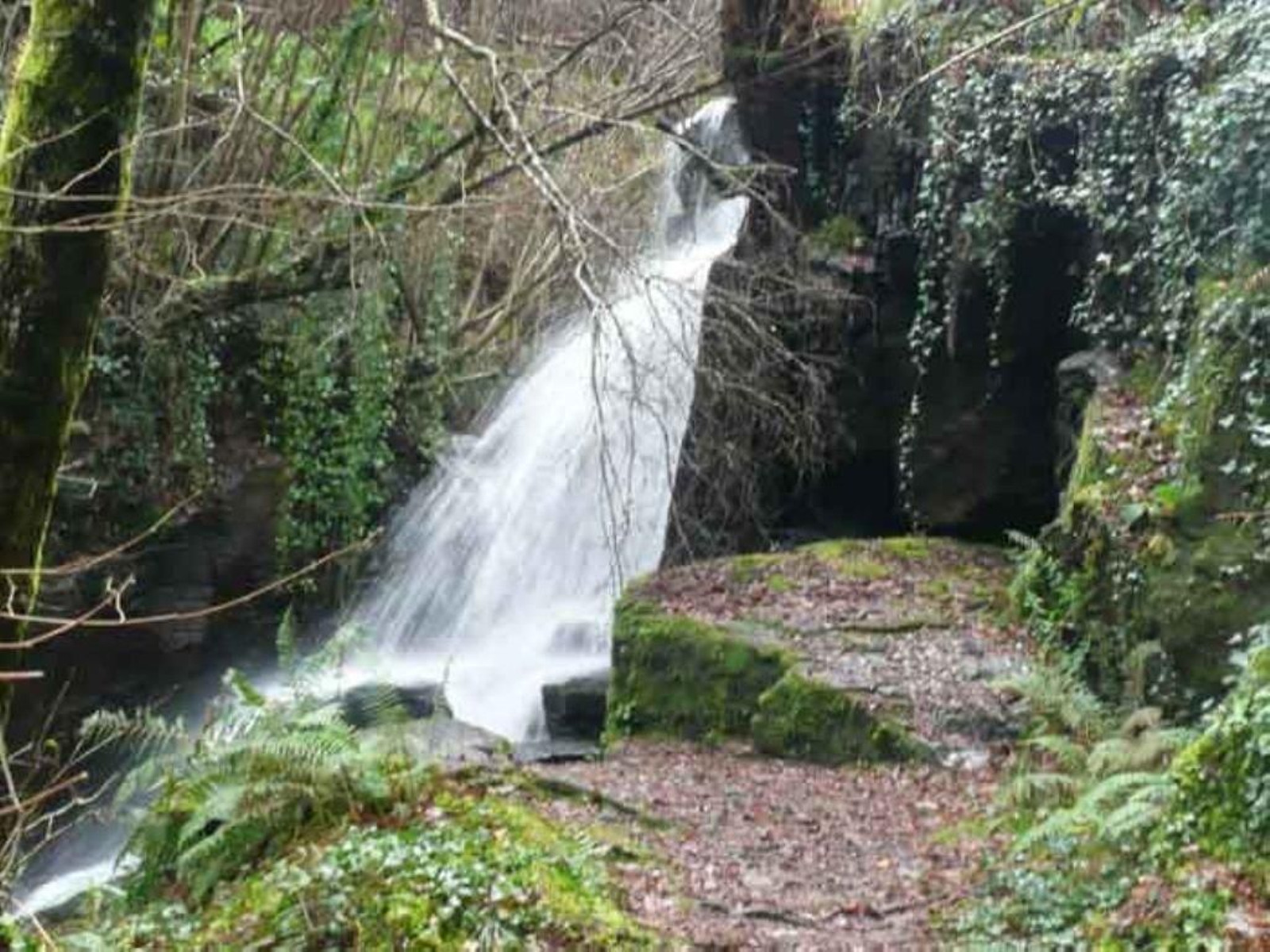 Restos de la aldea de A Fraga de San Cibrán, que tuvo seis casas habitadas hasta su desaparición. La Entidad Menor prevé recuperar la zona dentro del parque botánico del río Eifonso.