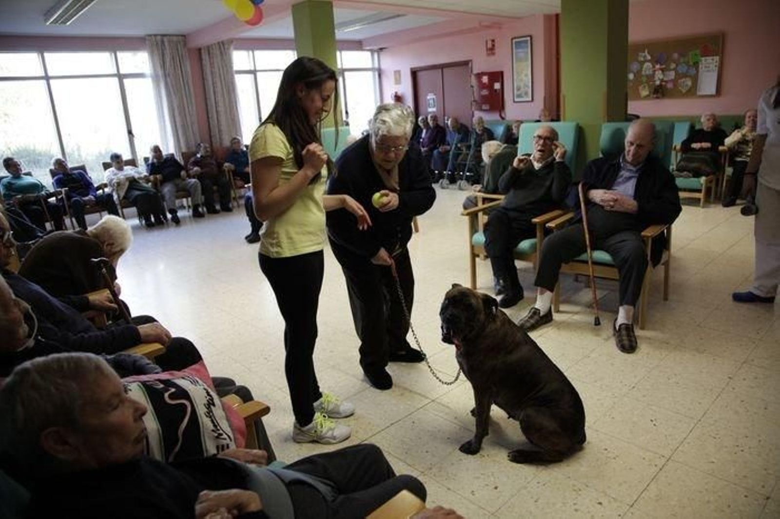 Los juegos con pelota son una de las actividades preferidas por Yuma y también de los mayores.