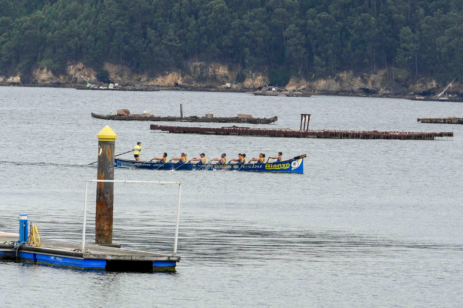 Galería | Las traineras se dan cita en el paseo de Cardona