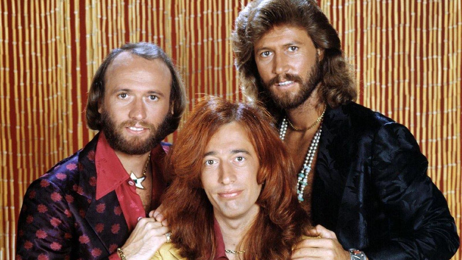 xornalescolar_2411_chuletas_01